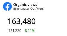 KPI widget with a Facebook Page's organic views and the change from the previous period