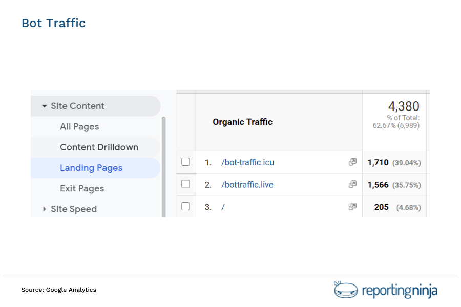 Bot Traffic