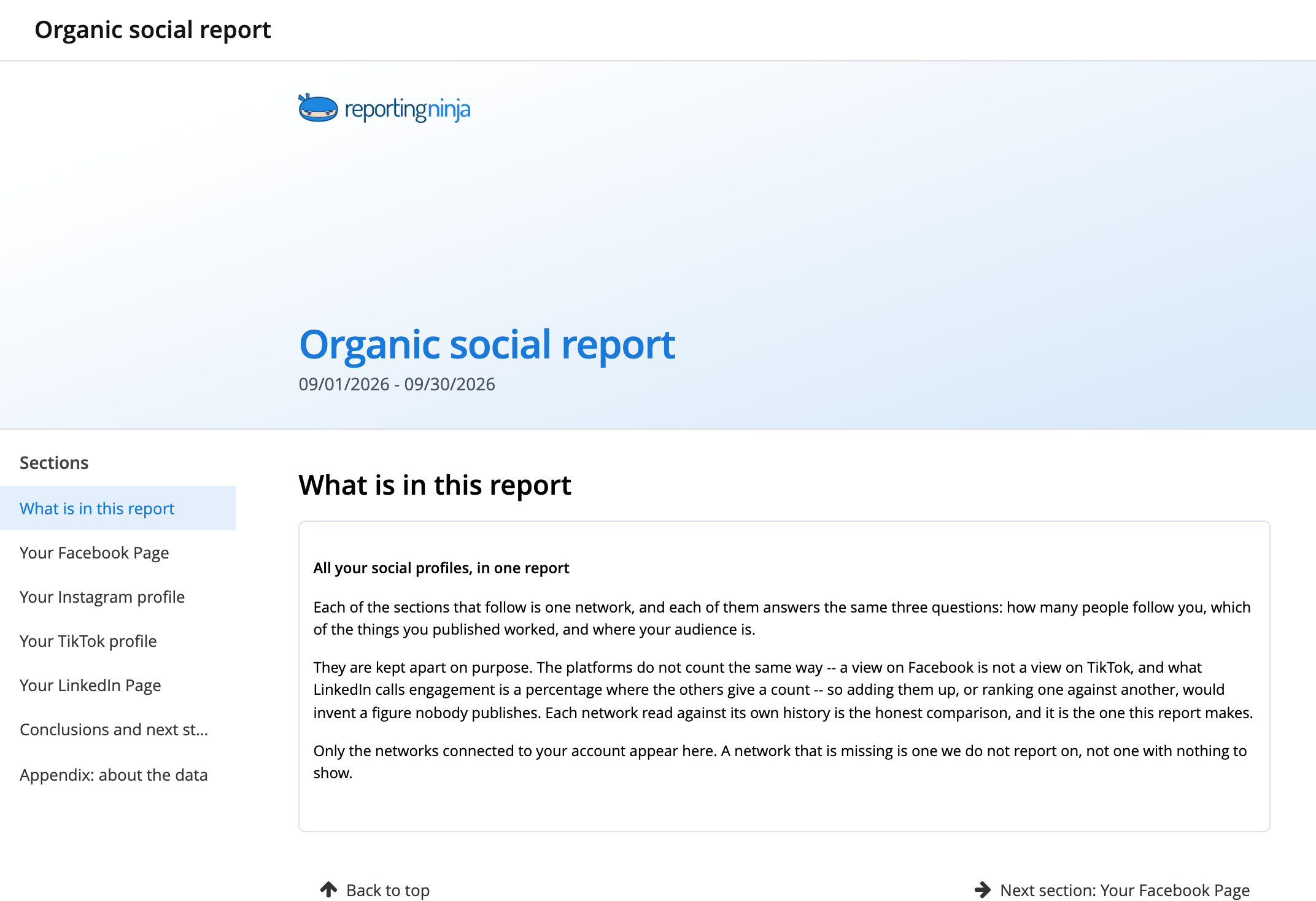 Organic social report template: report header and the What is in this report section