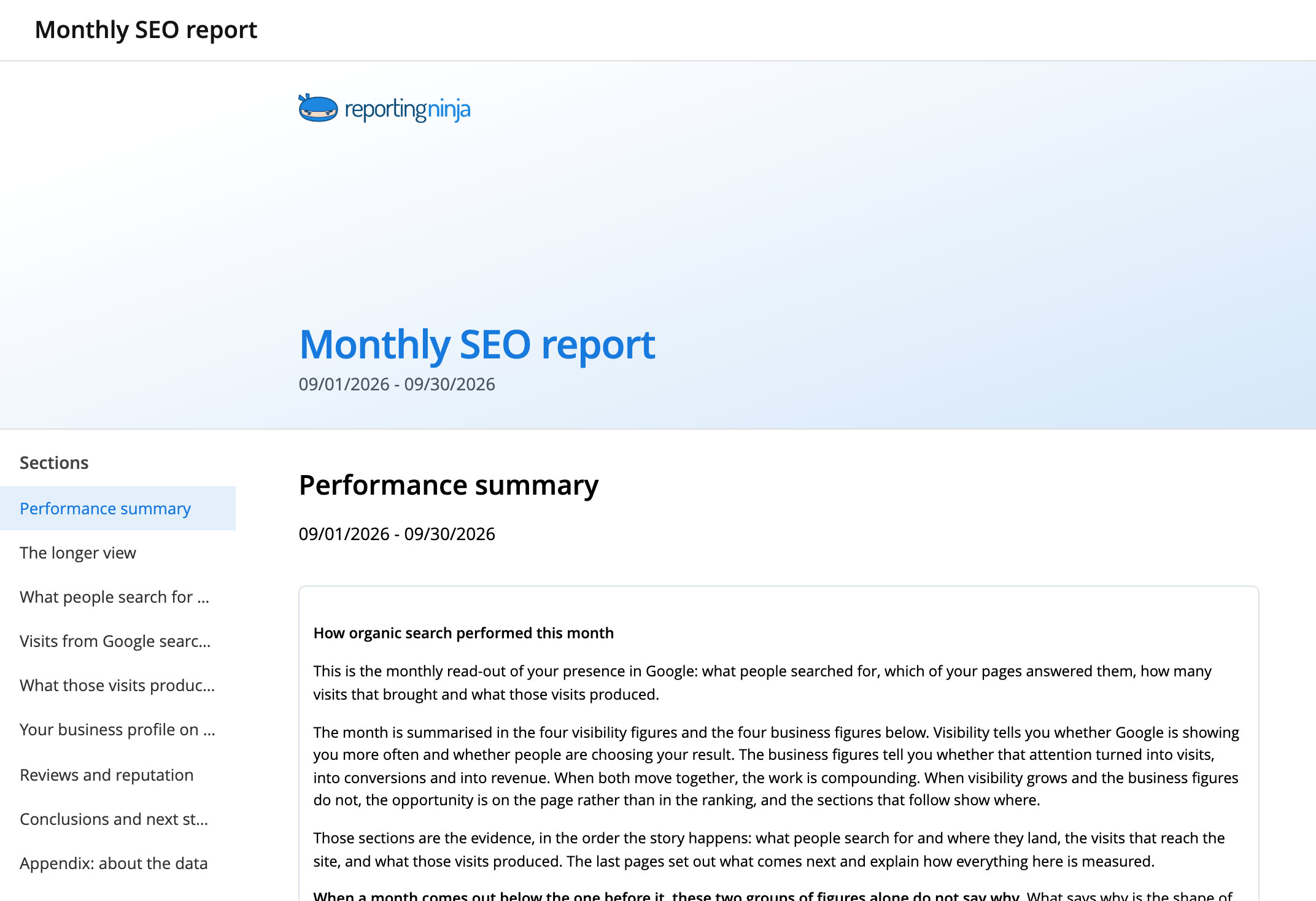Monthly SEO report template: report header and the Performance summary section