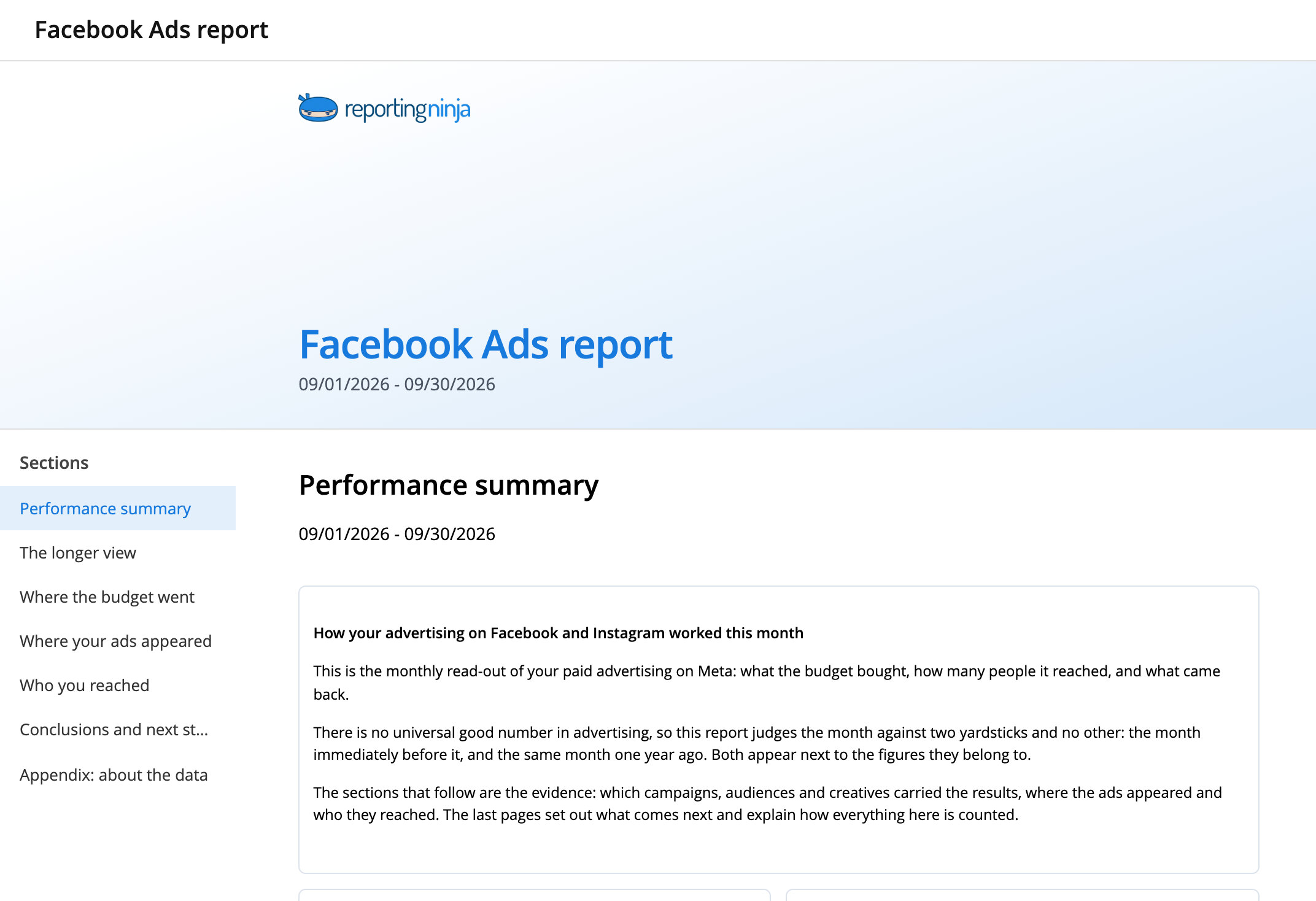 Facebook Ads report template: report header and the Performance summary section