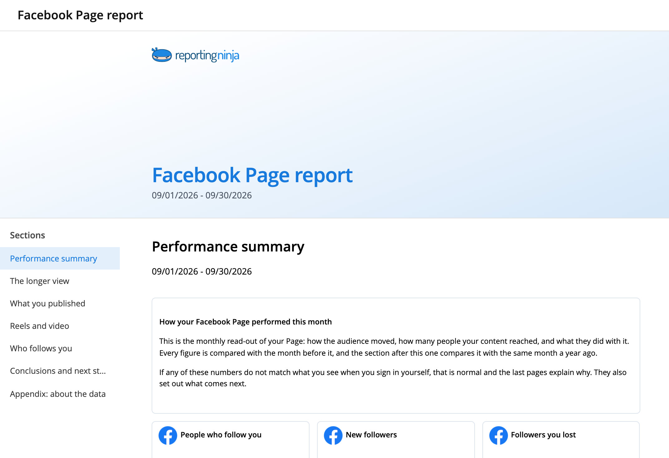 Facebook Page report template: report header and the Performance summary section