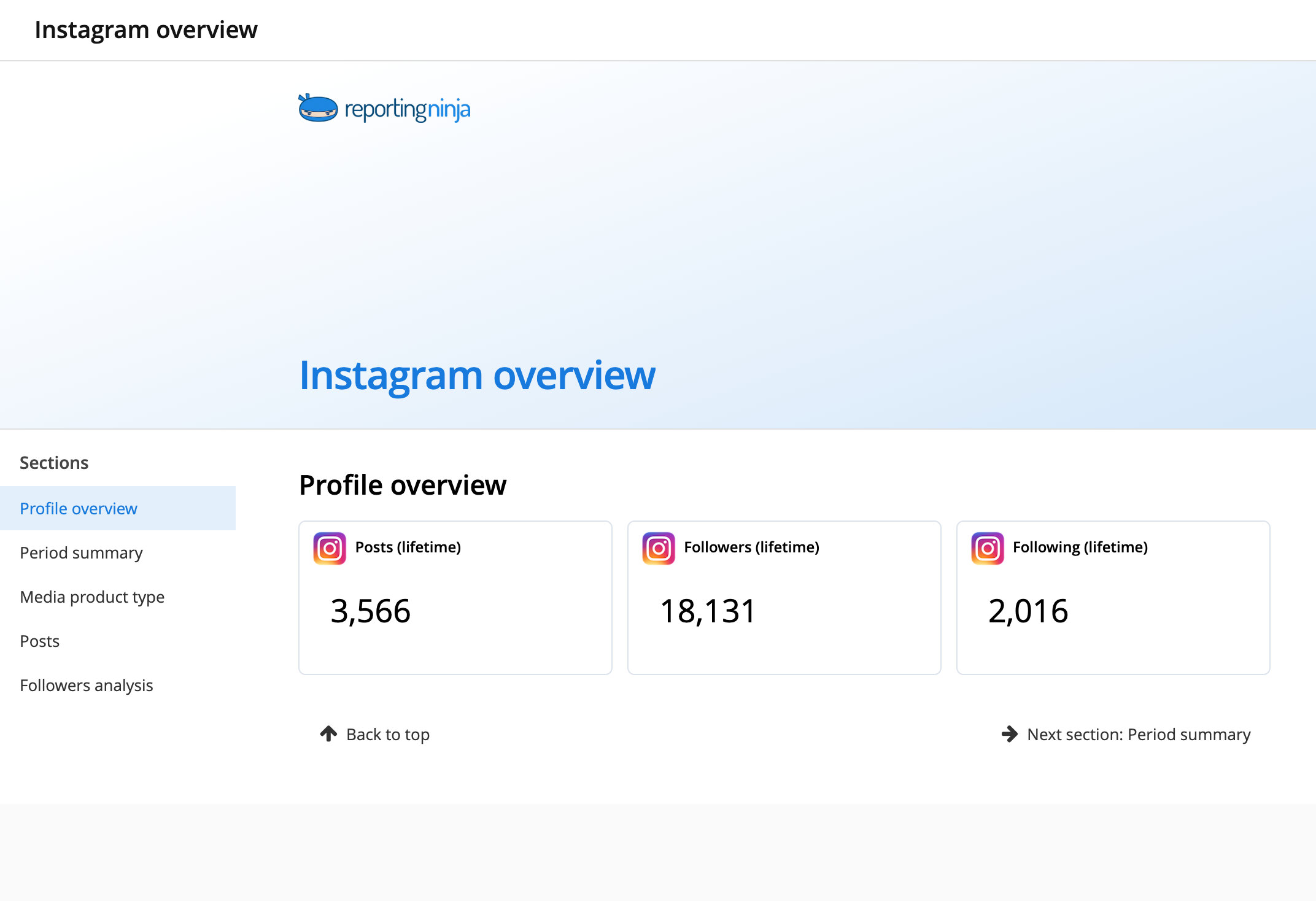 Instagram overview template: report header and the Profile overview section