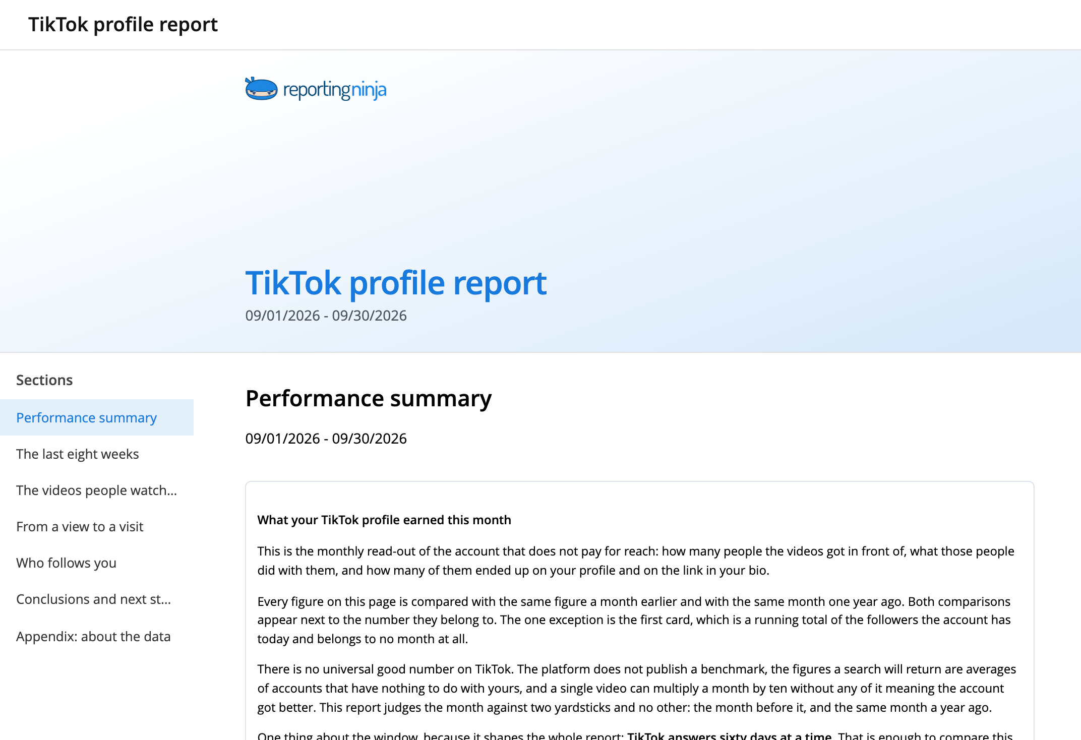 TikTok profile report template: report header and the Performance summary section