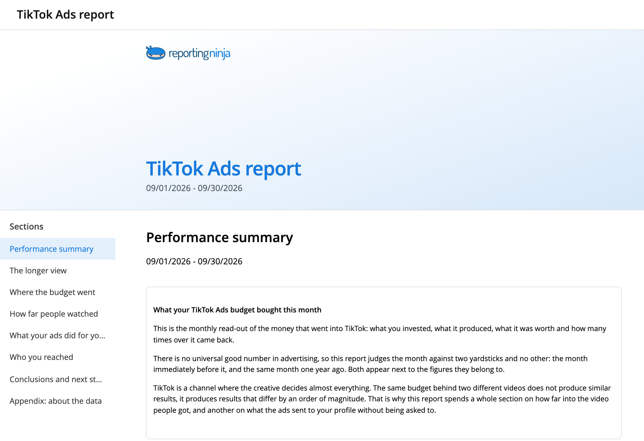TikTok Ads report template: report header and the Performance summary section