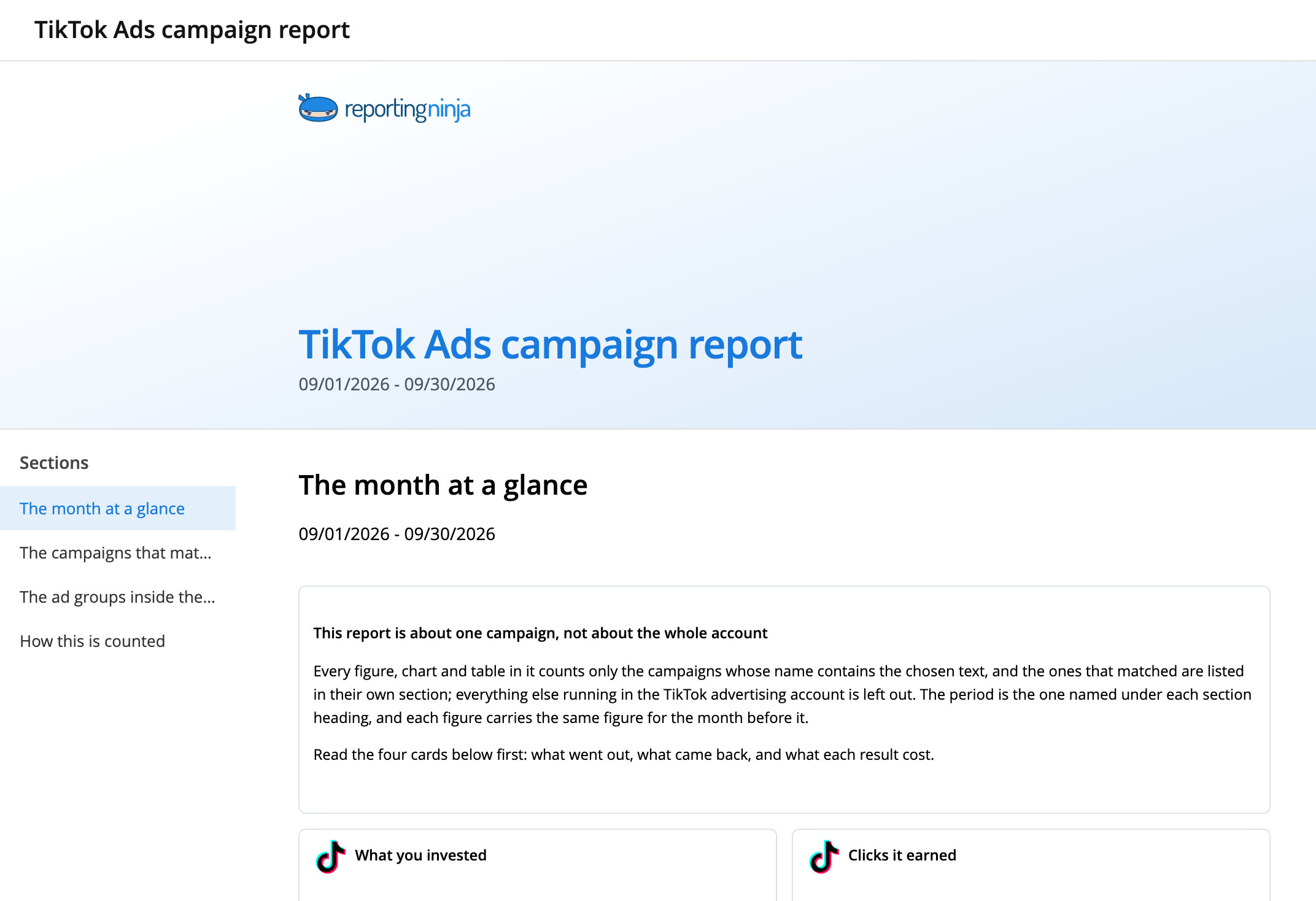 TikTok Ads campaign report template: report header and the month at a glance section