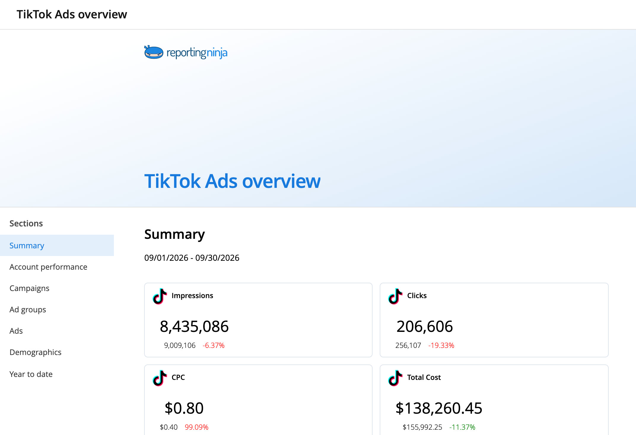 TikTok Ads overview template: report header and the Summary section