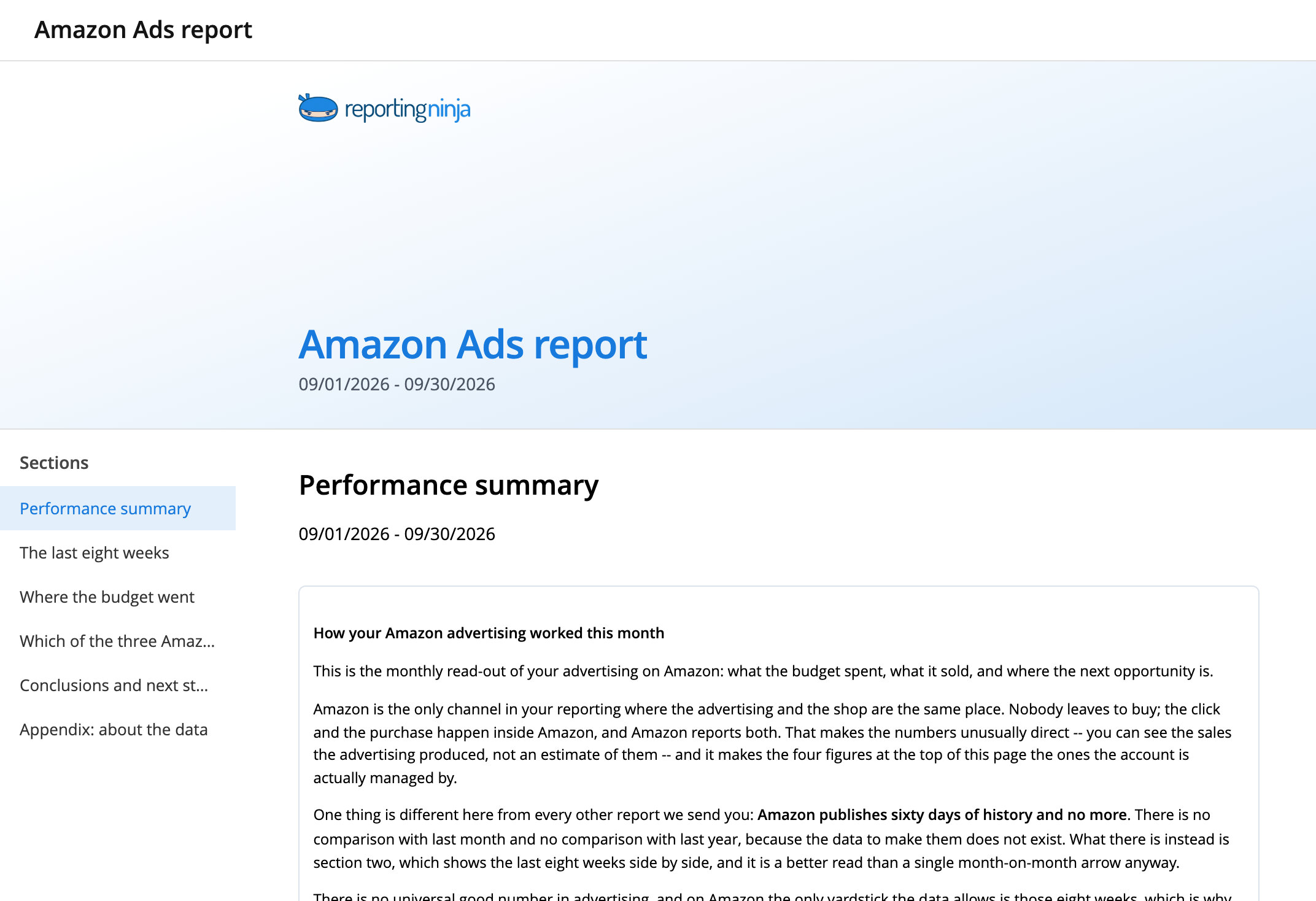 Amazon Ads report template: report header and the Performance summary section