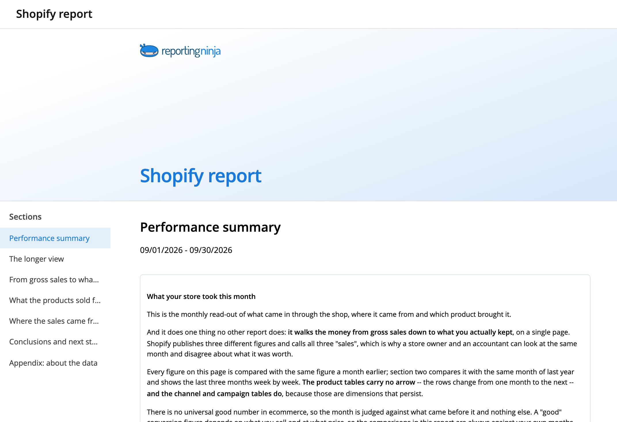 Shopify report template: report header and the Performance summary section