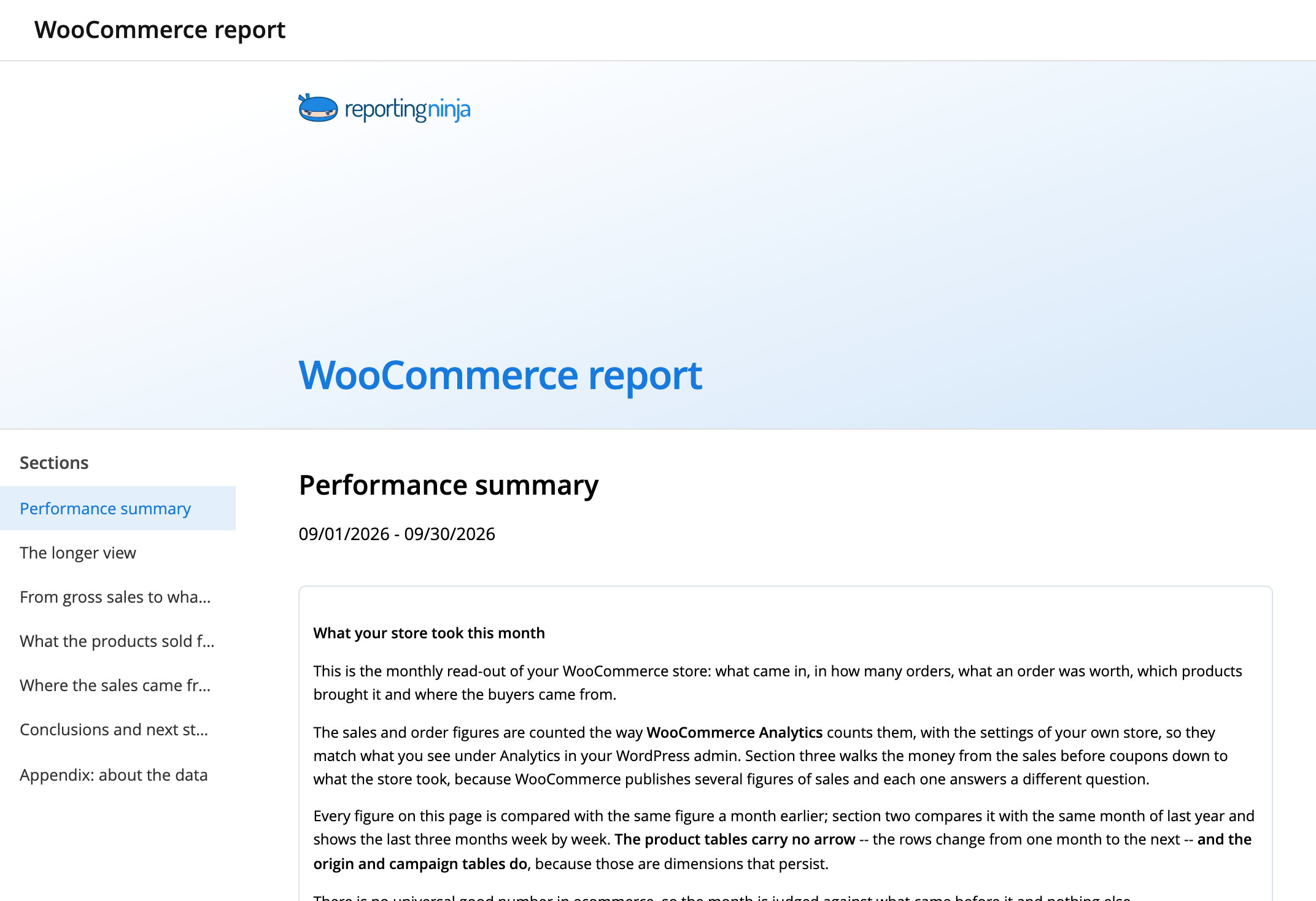 WooCommerce report template: report header and the Performance summary section