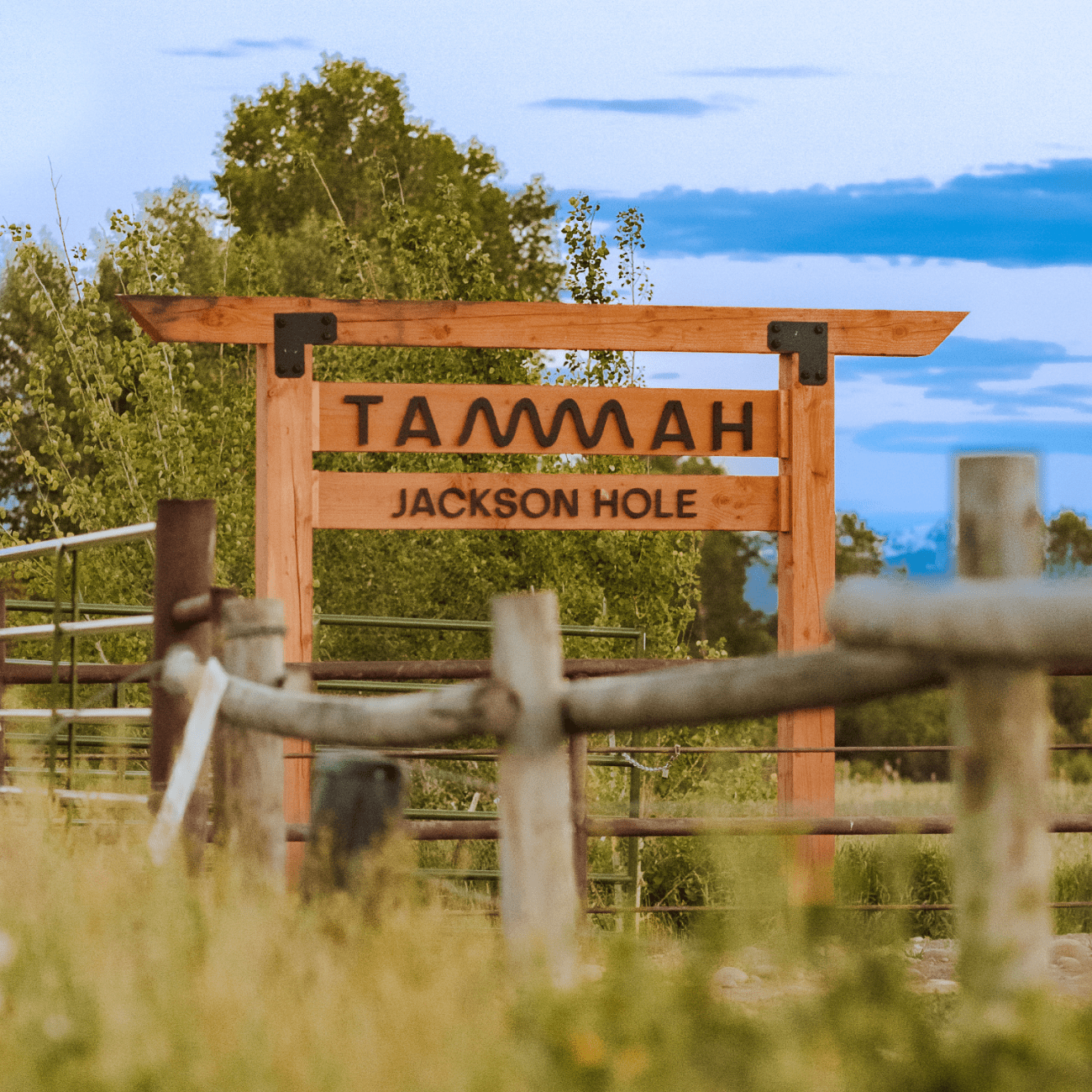 Tammah Jackson Hole sign in front of Grand Teton Mountain range.