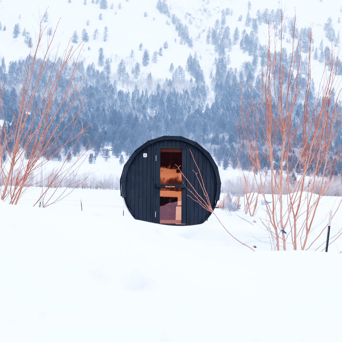 Sauna in front of Grand Teton mountain range.