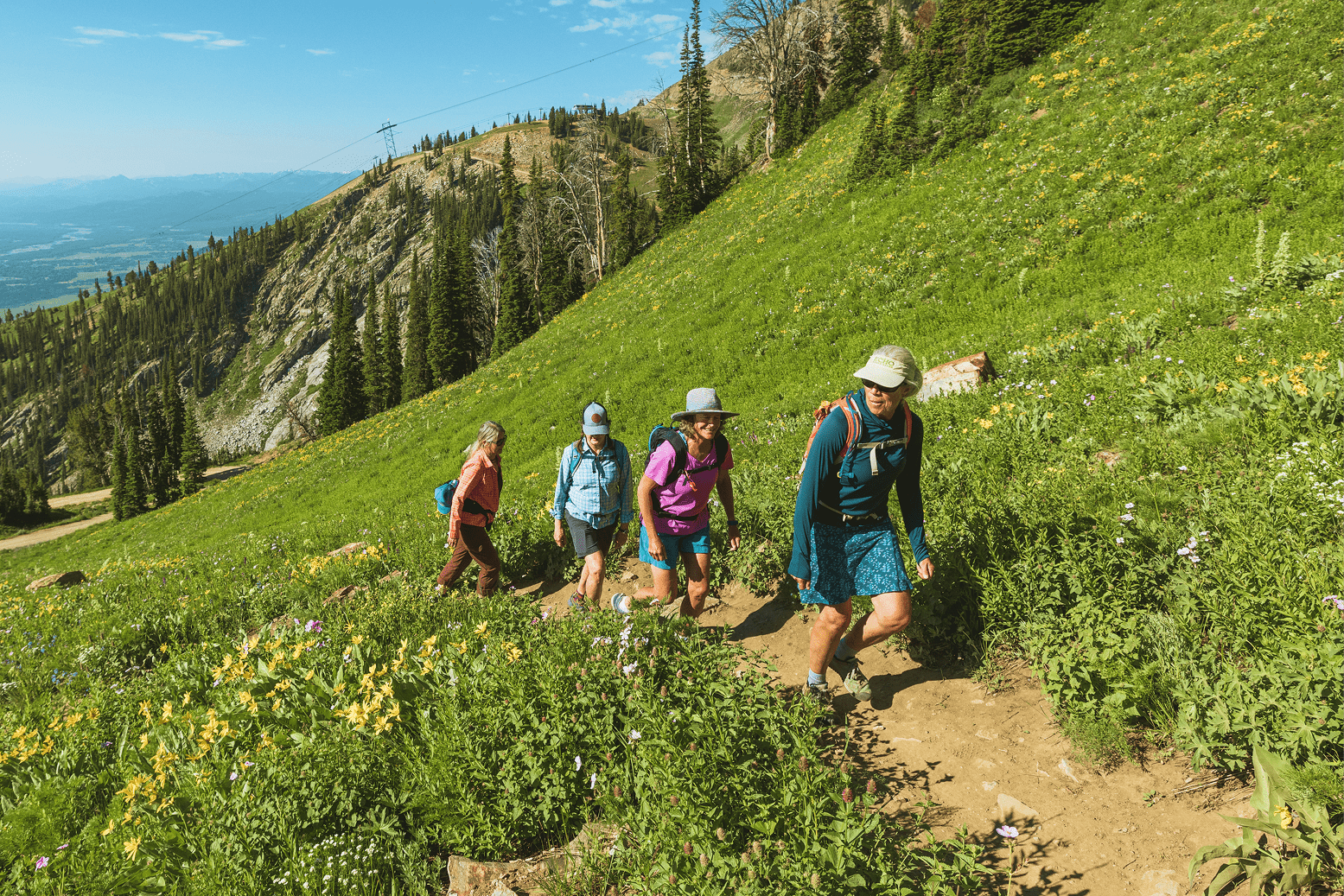 View of Teton Mountains in the spring with wild flowers