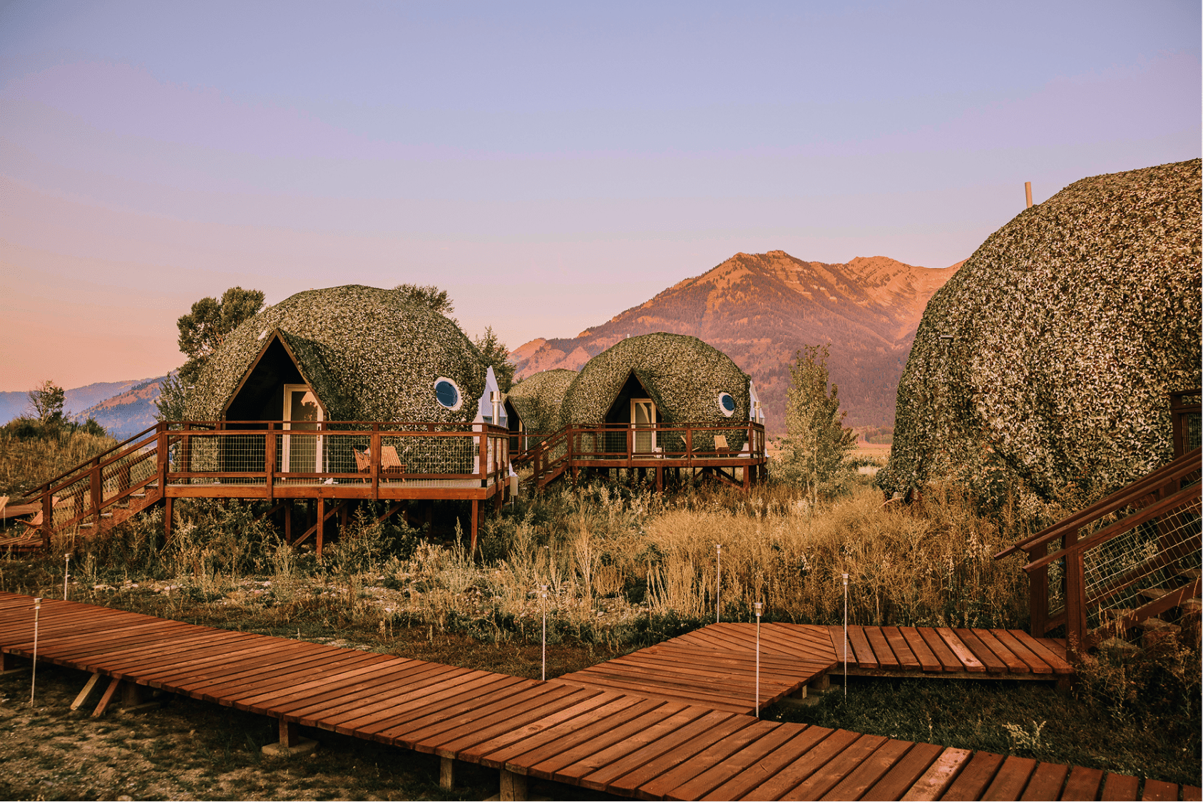 Summer view of two geodesic domes
