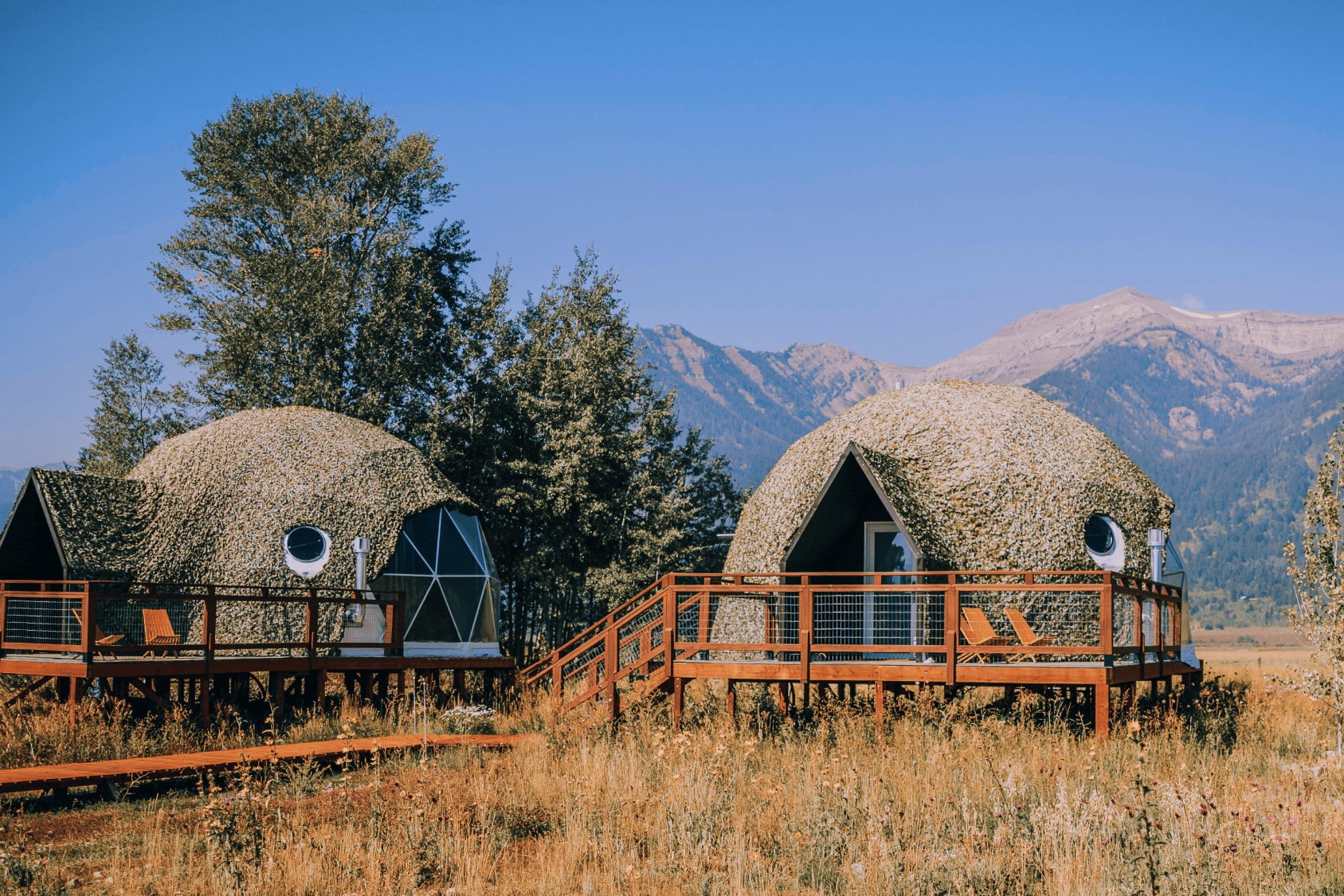 Summer view in family suite layout geodesic dome