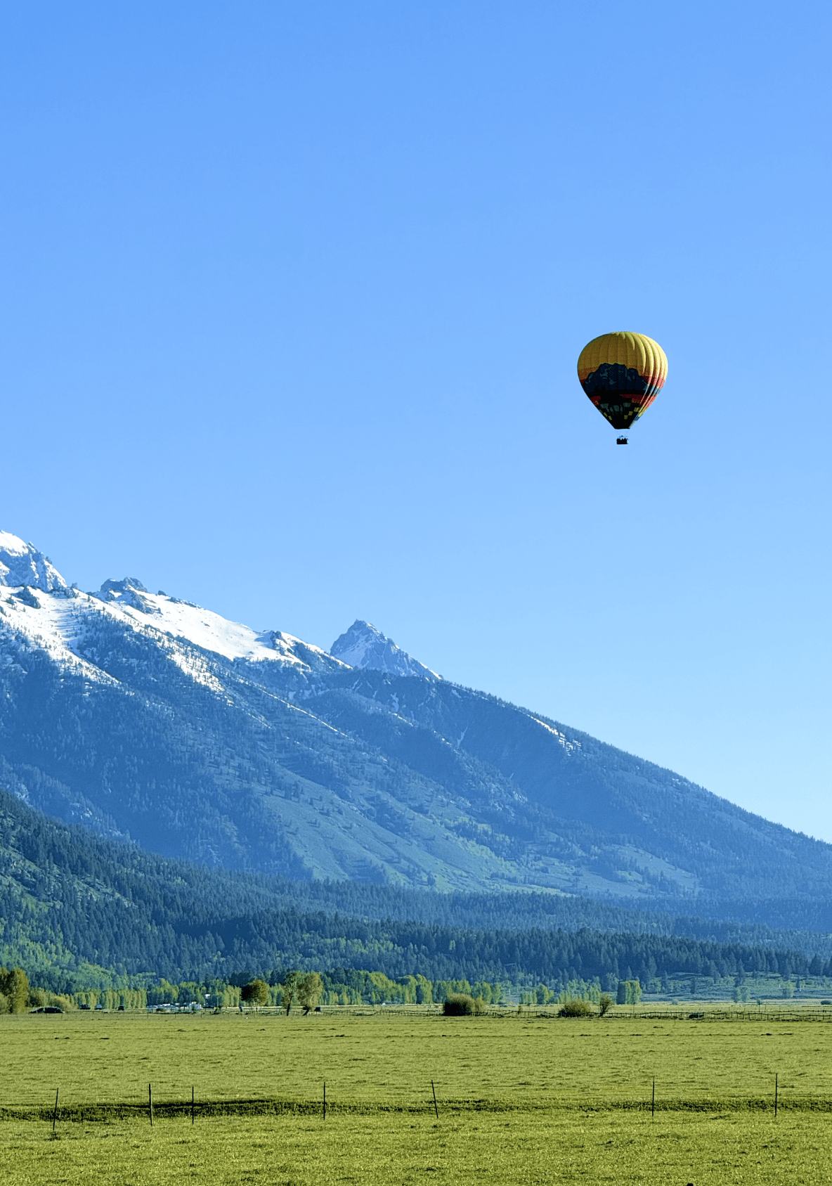 View of geodesic domes in the summer