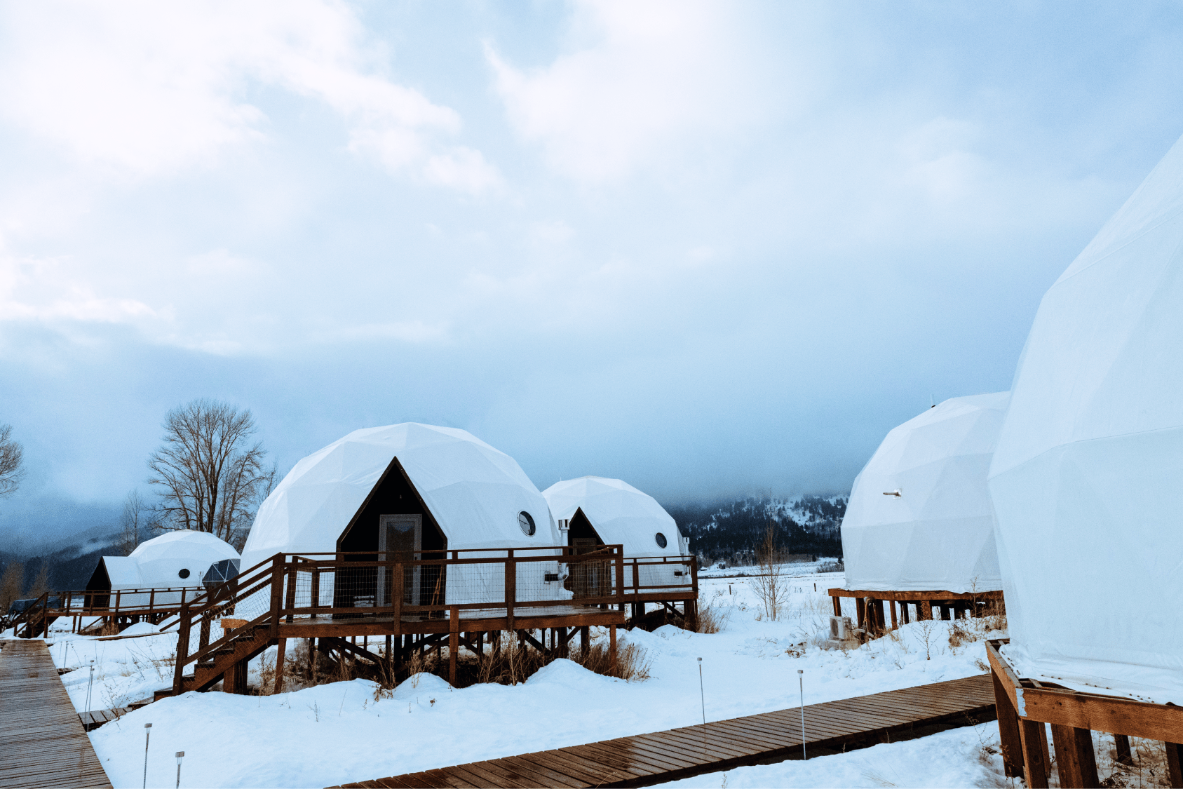 Summer view in family suite layout geodesic dome