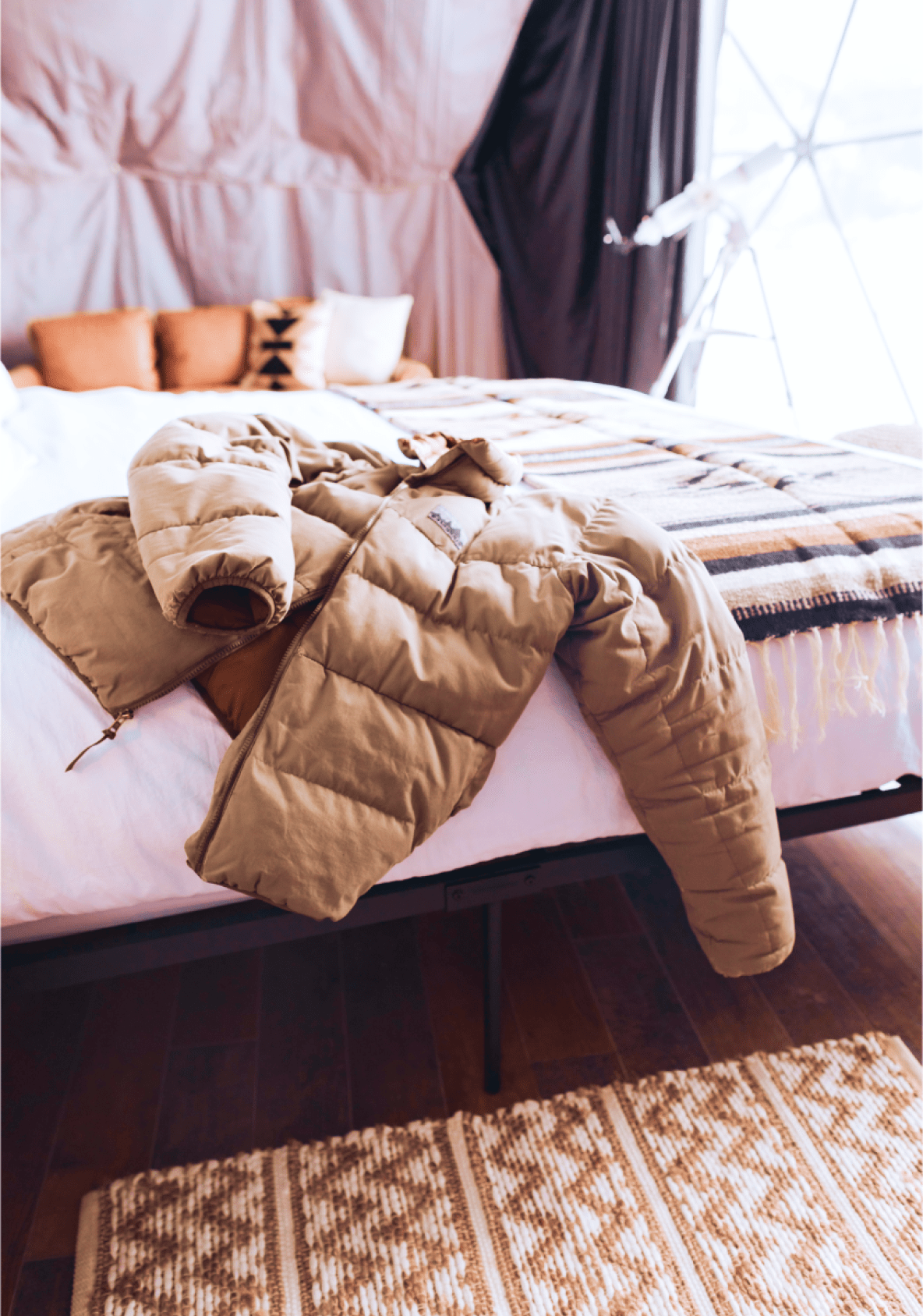 Wild flowers in Jackson Hole in the spring