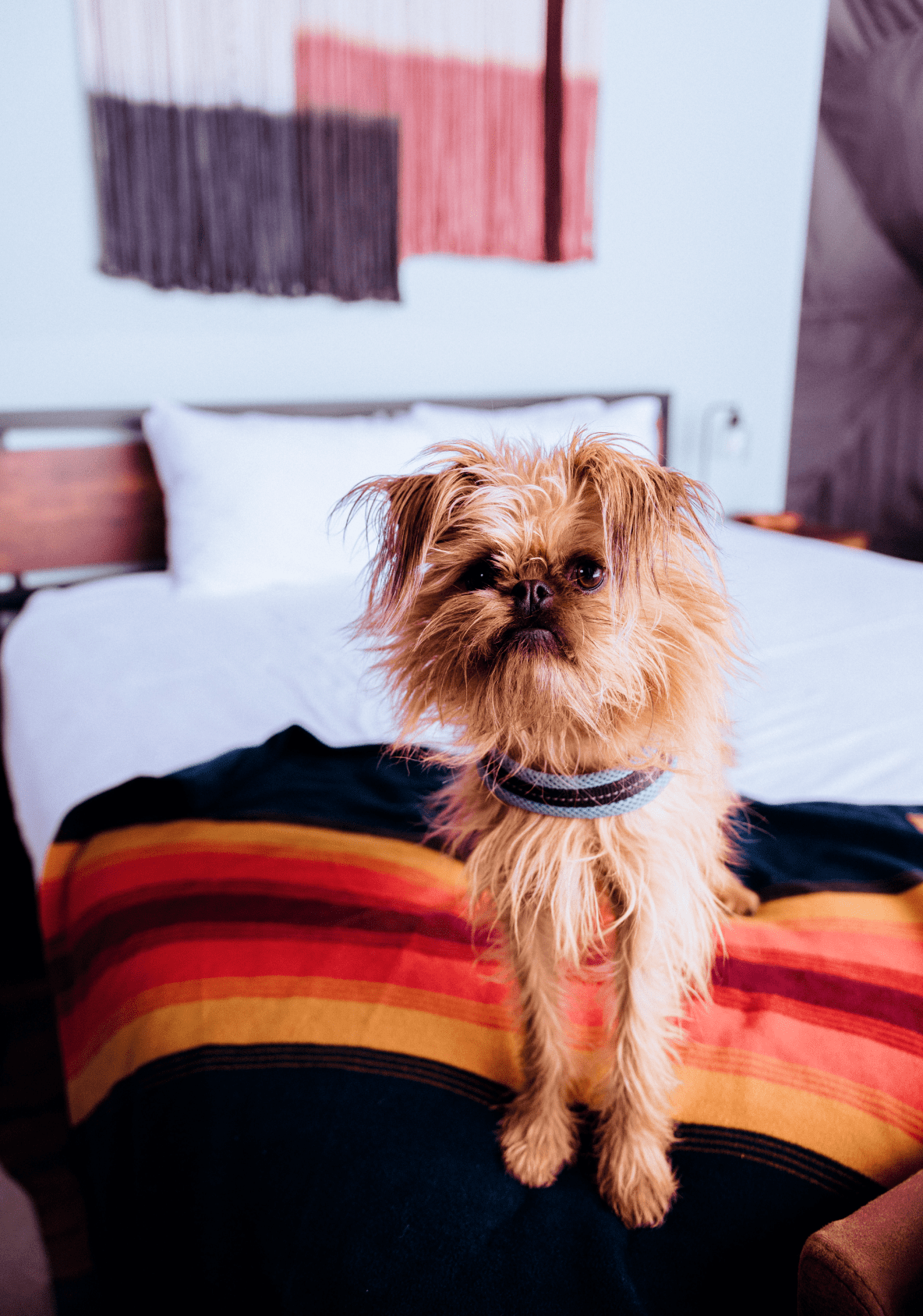 Paddle boarding on Jenny Lake