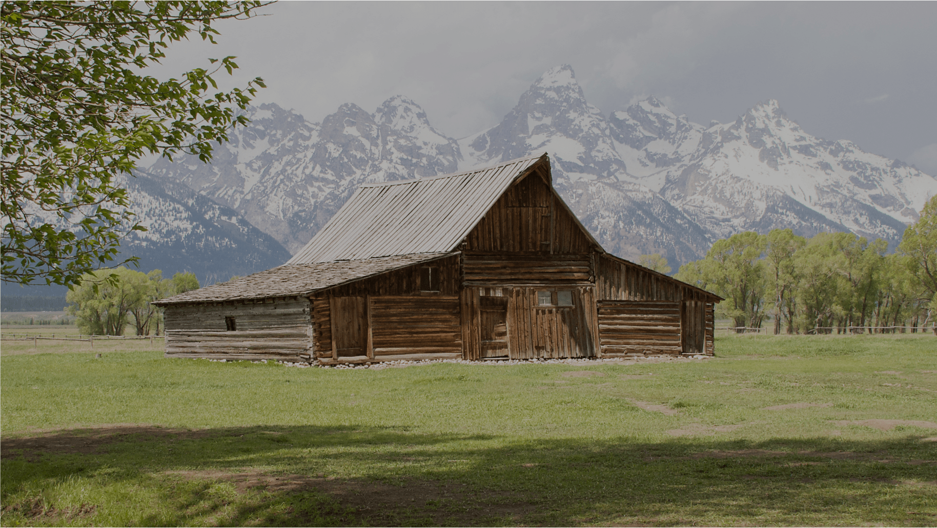 TA Moulton barn in the summer
