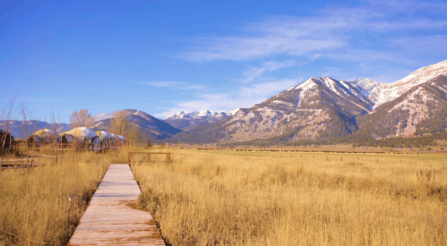 View of Grand Teton range from inside geodesic dome.