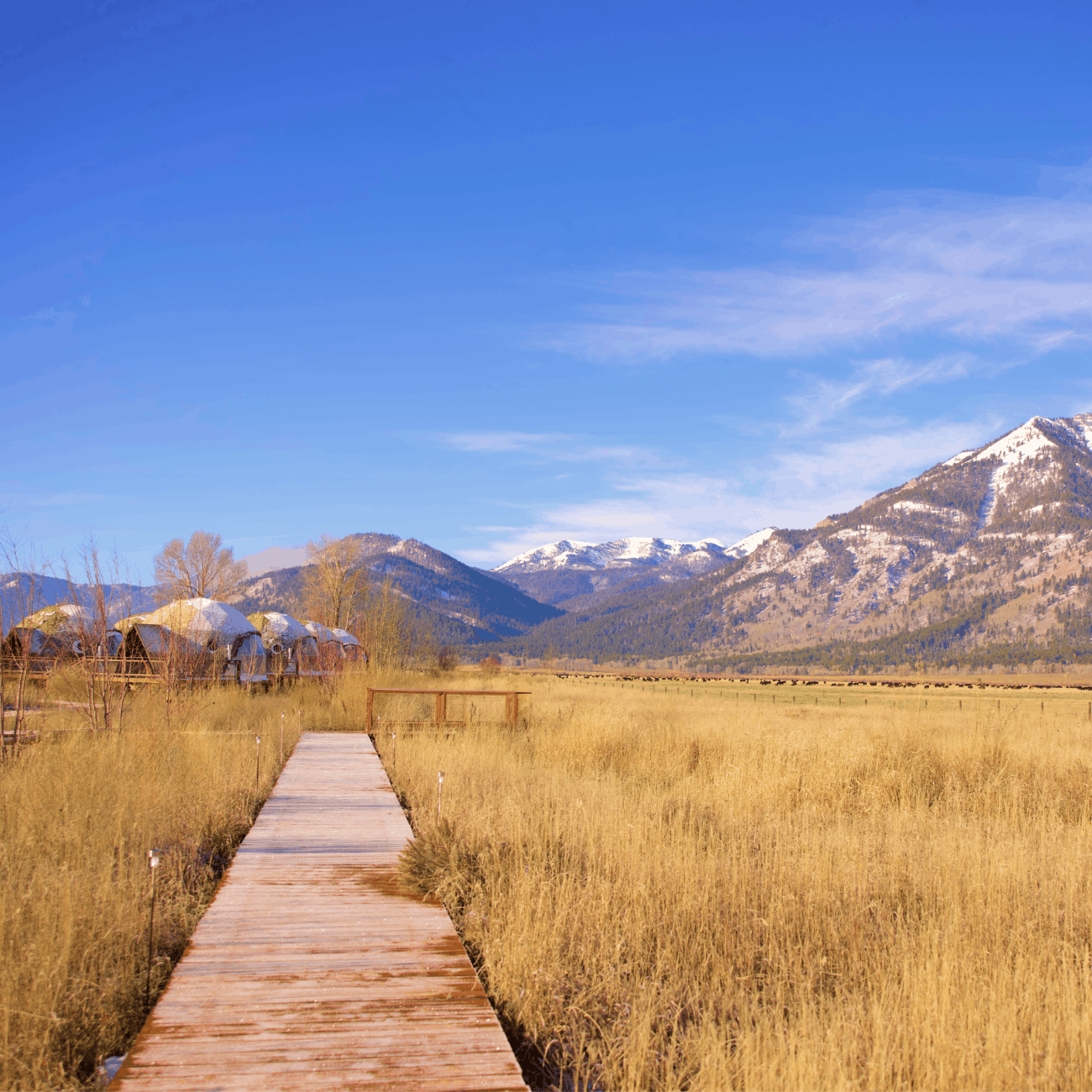 View of Grand Teton range from inside geodesic dome.