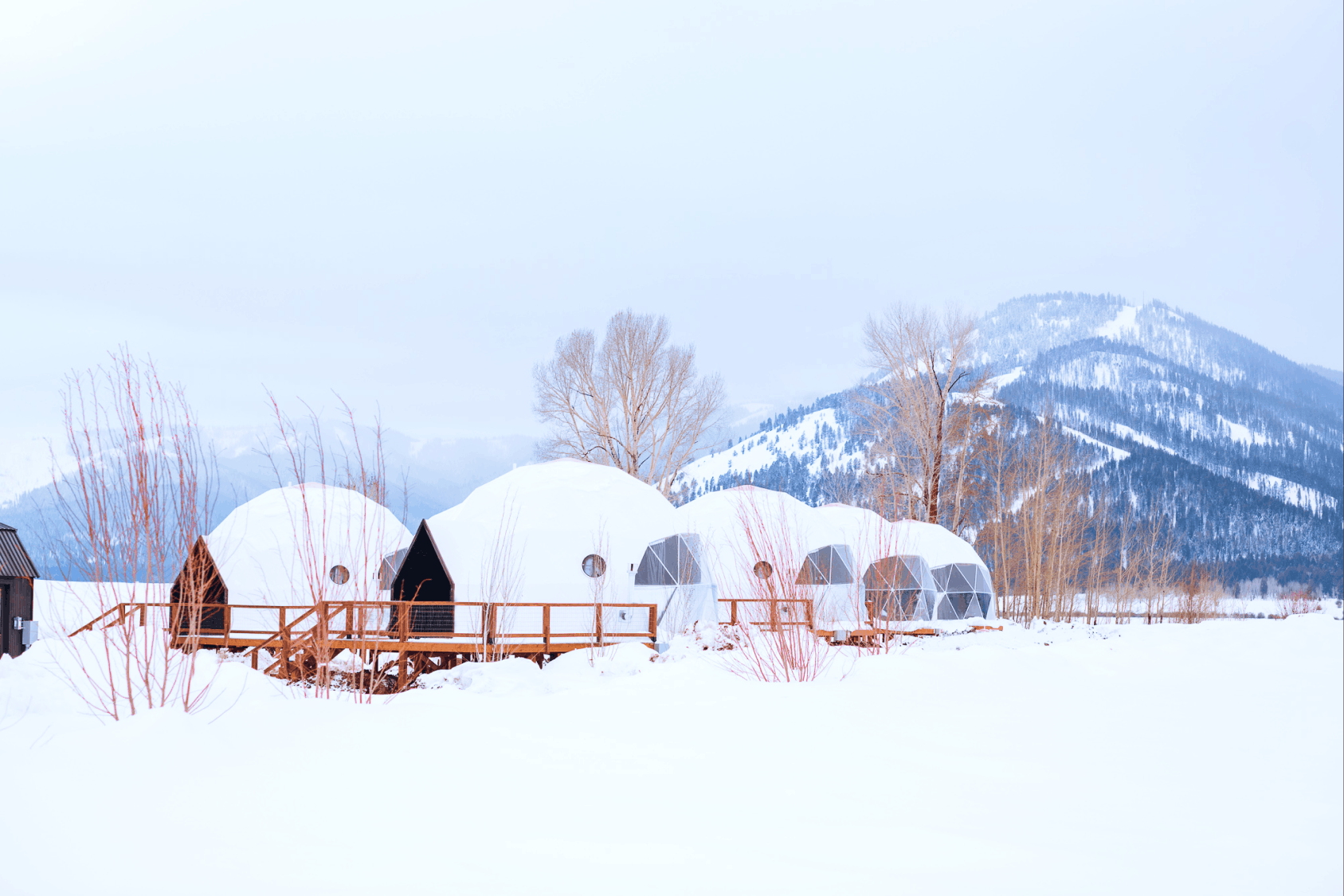 Mirror and bunk bed in geodesic dome