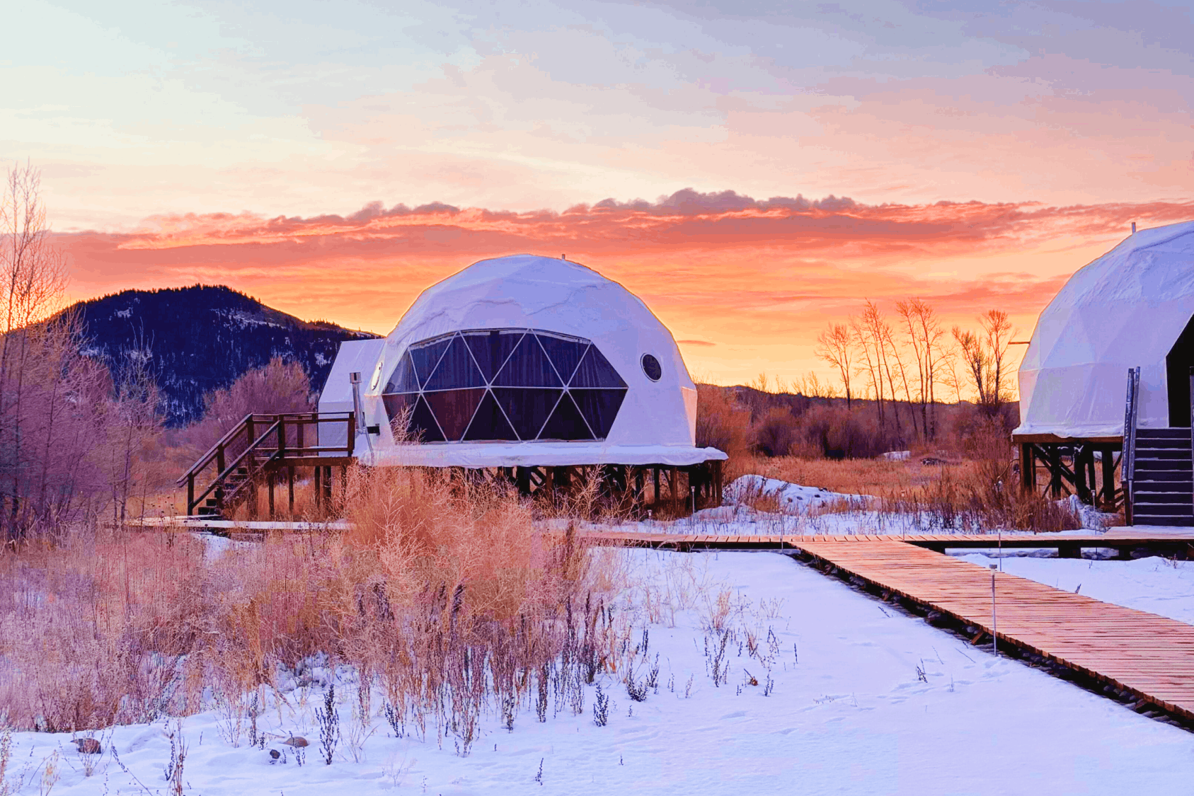 Summer view in family suite layout geodesic dome