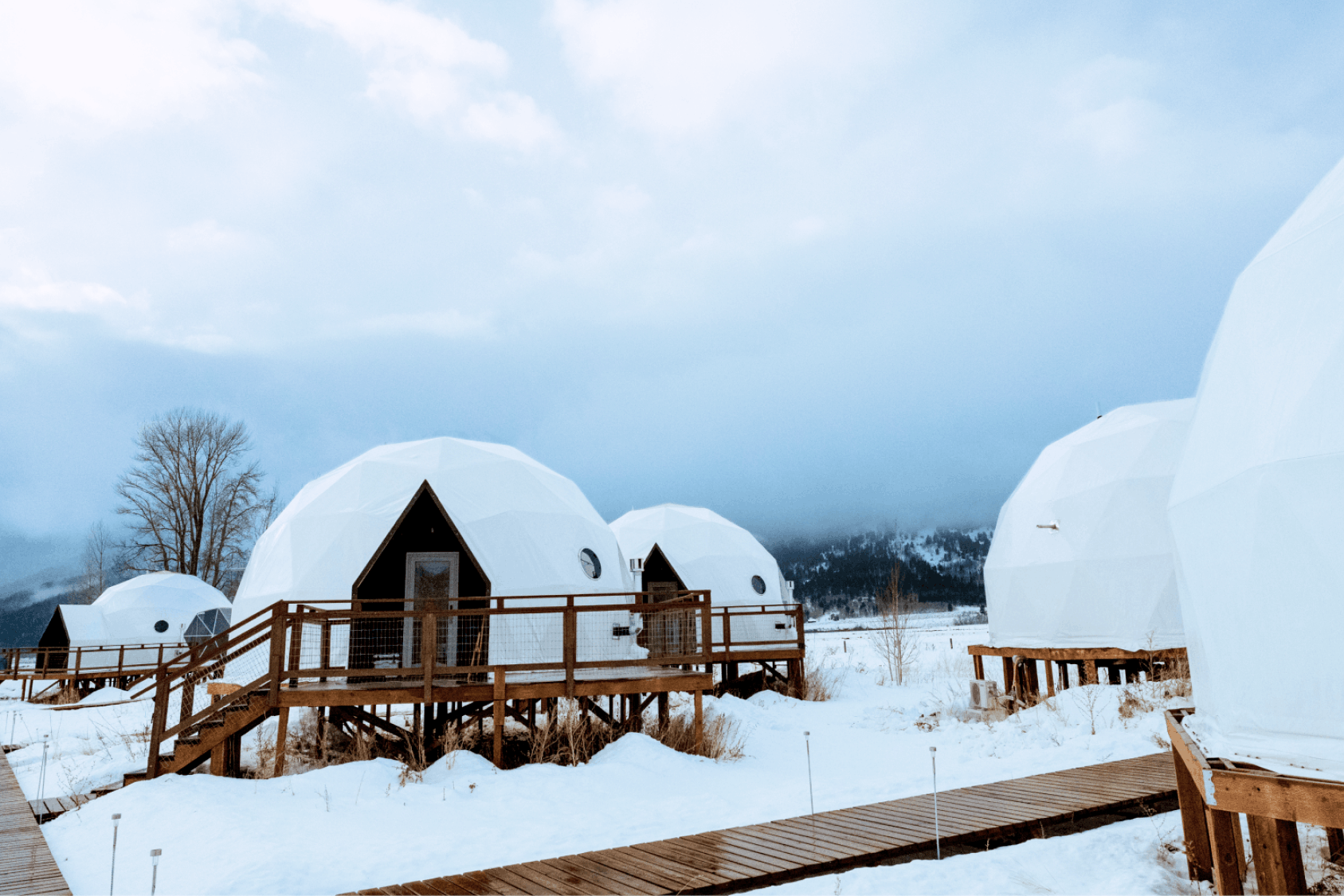 Summer view in family suite layout geodesic dome