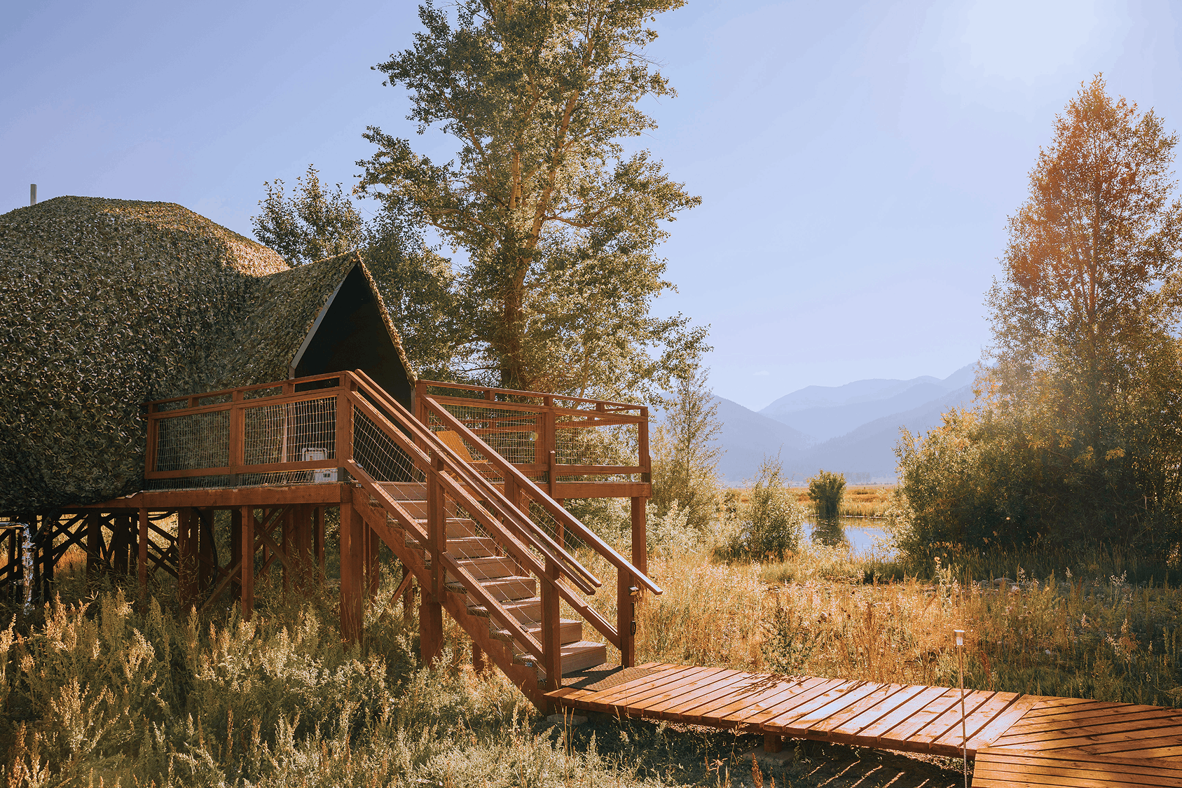 Summer view in family suite layout geodesic dome