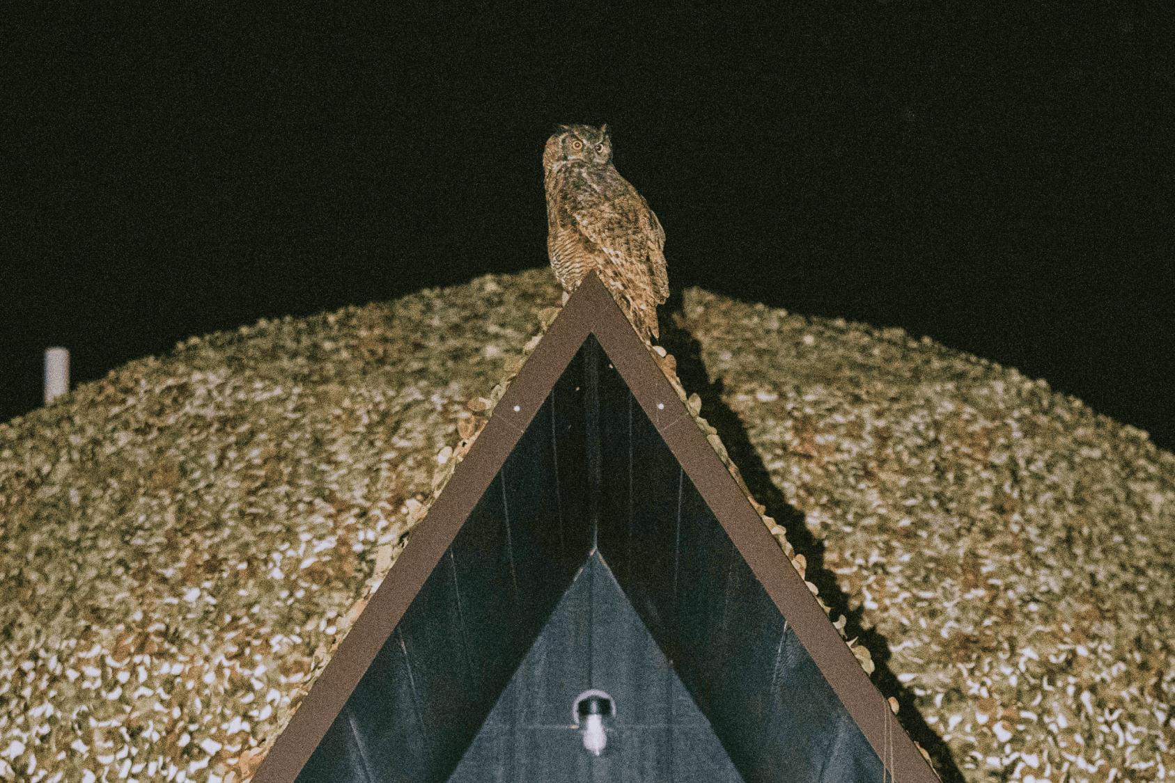 Mirror and bunk bed in geodesic dome