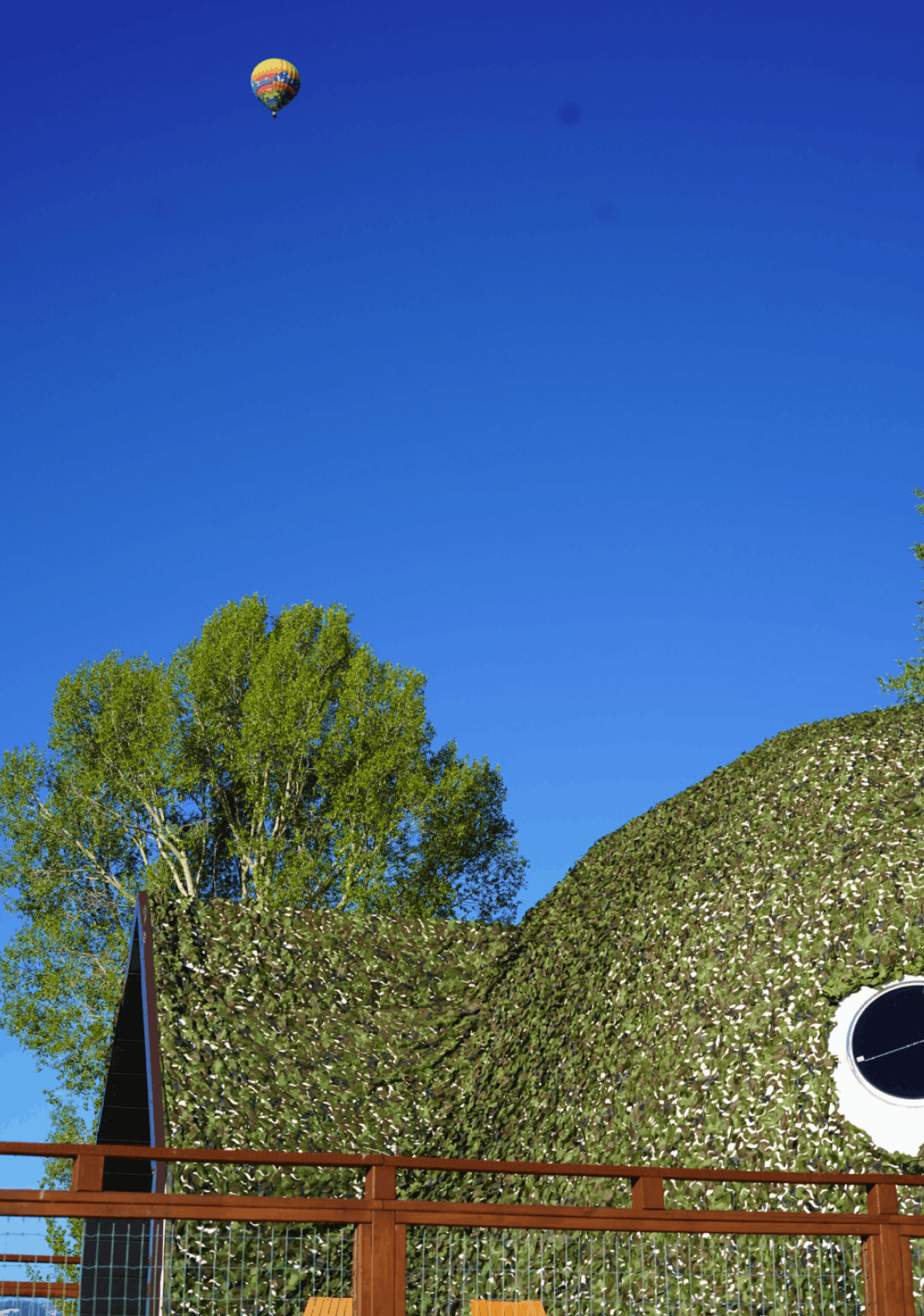Bunk bed in geodesic dome