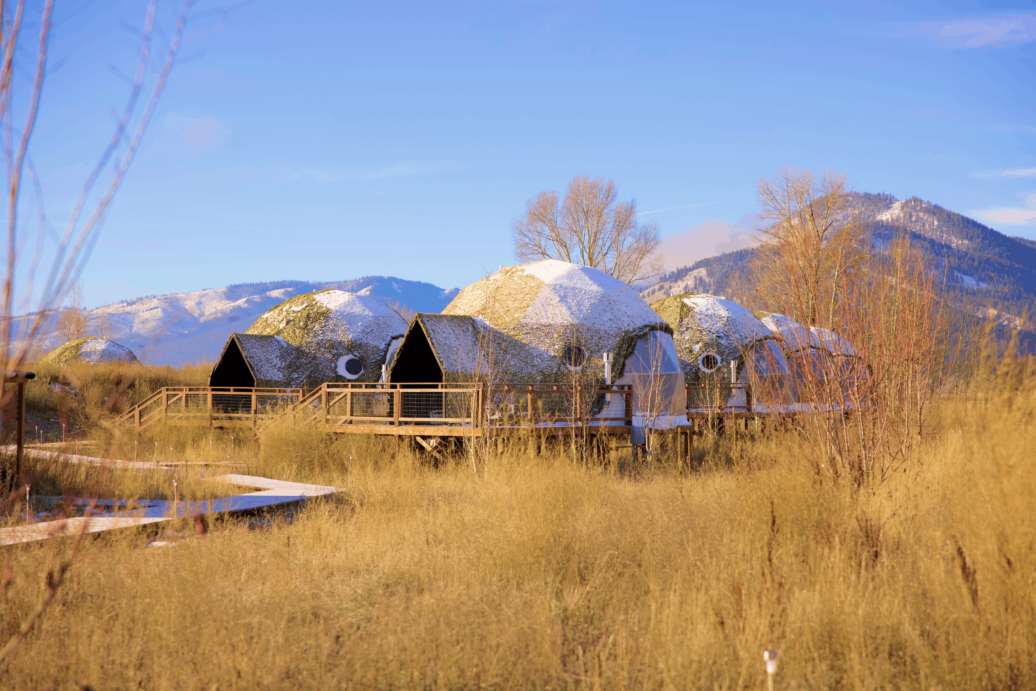 Summer view in family suite layout geodesic dome