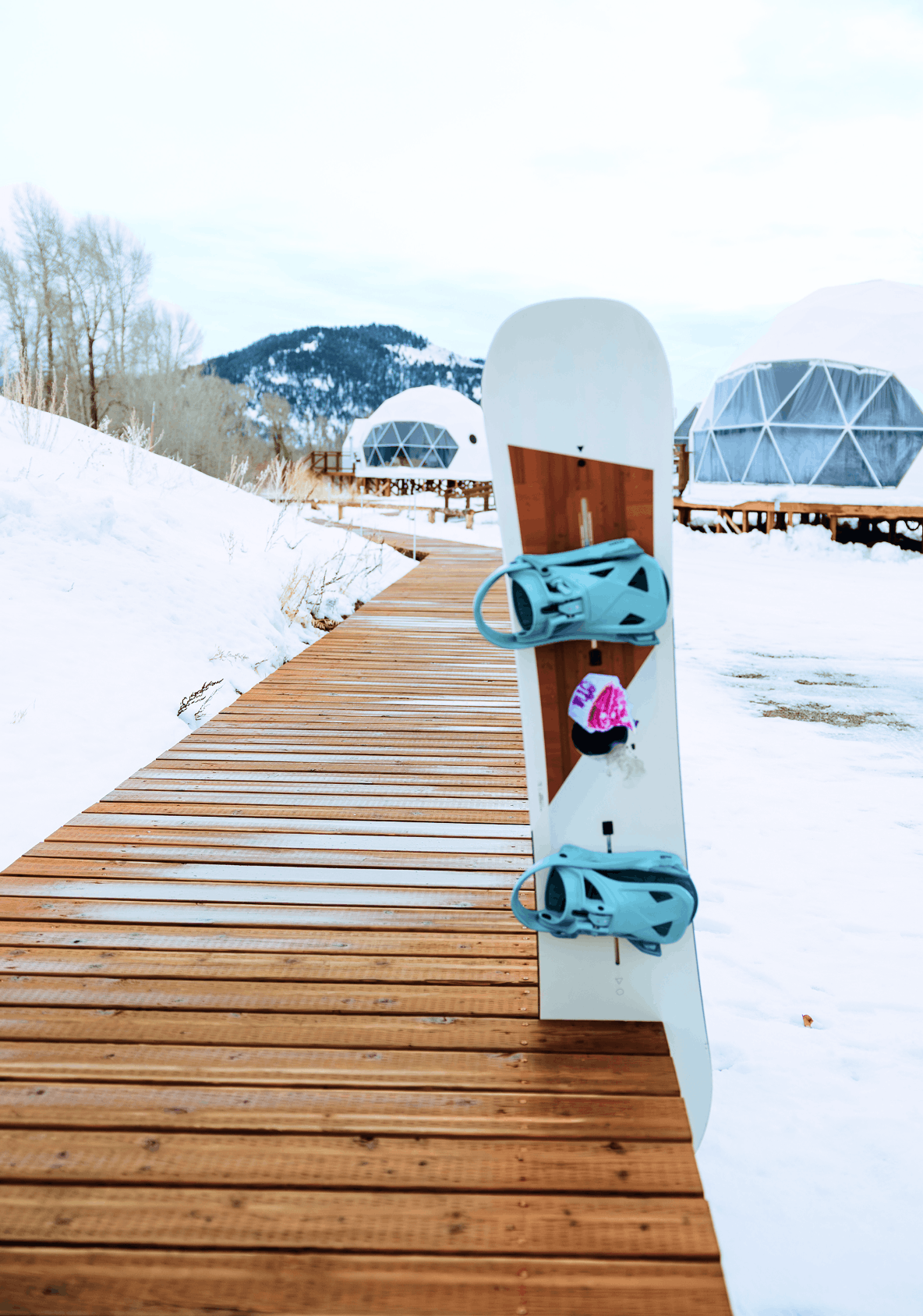Bunk bed in geodesic dome