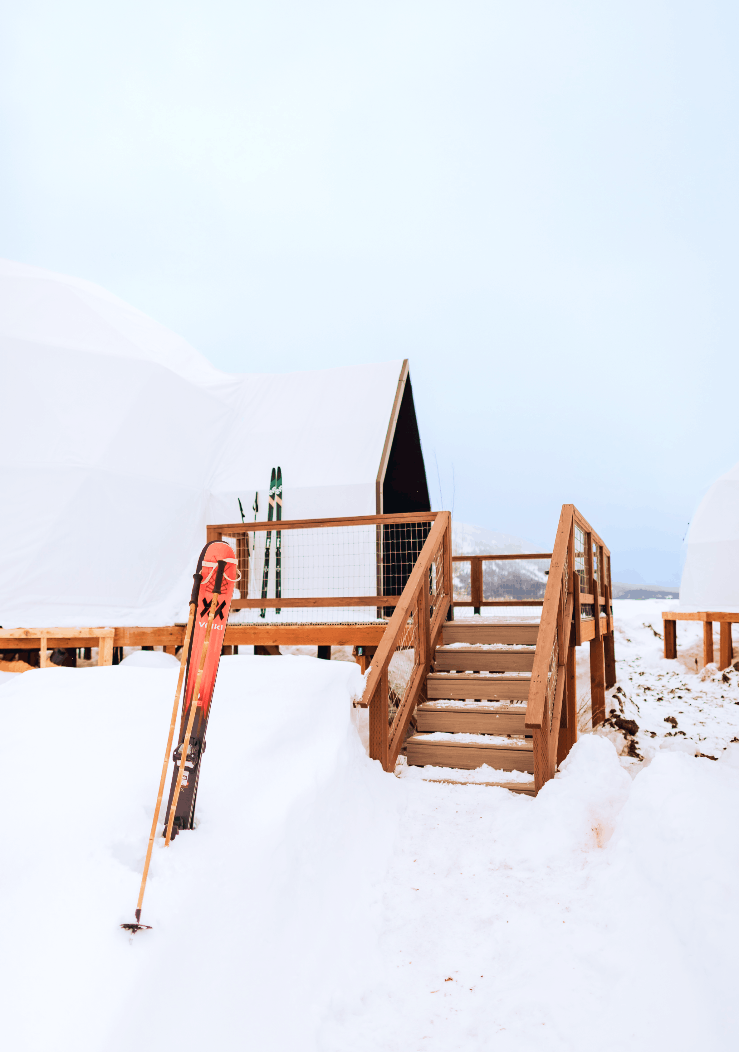 View of Teton Mountains in the spring with wild flowers