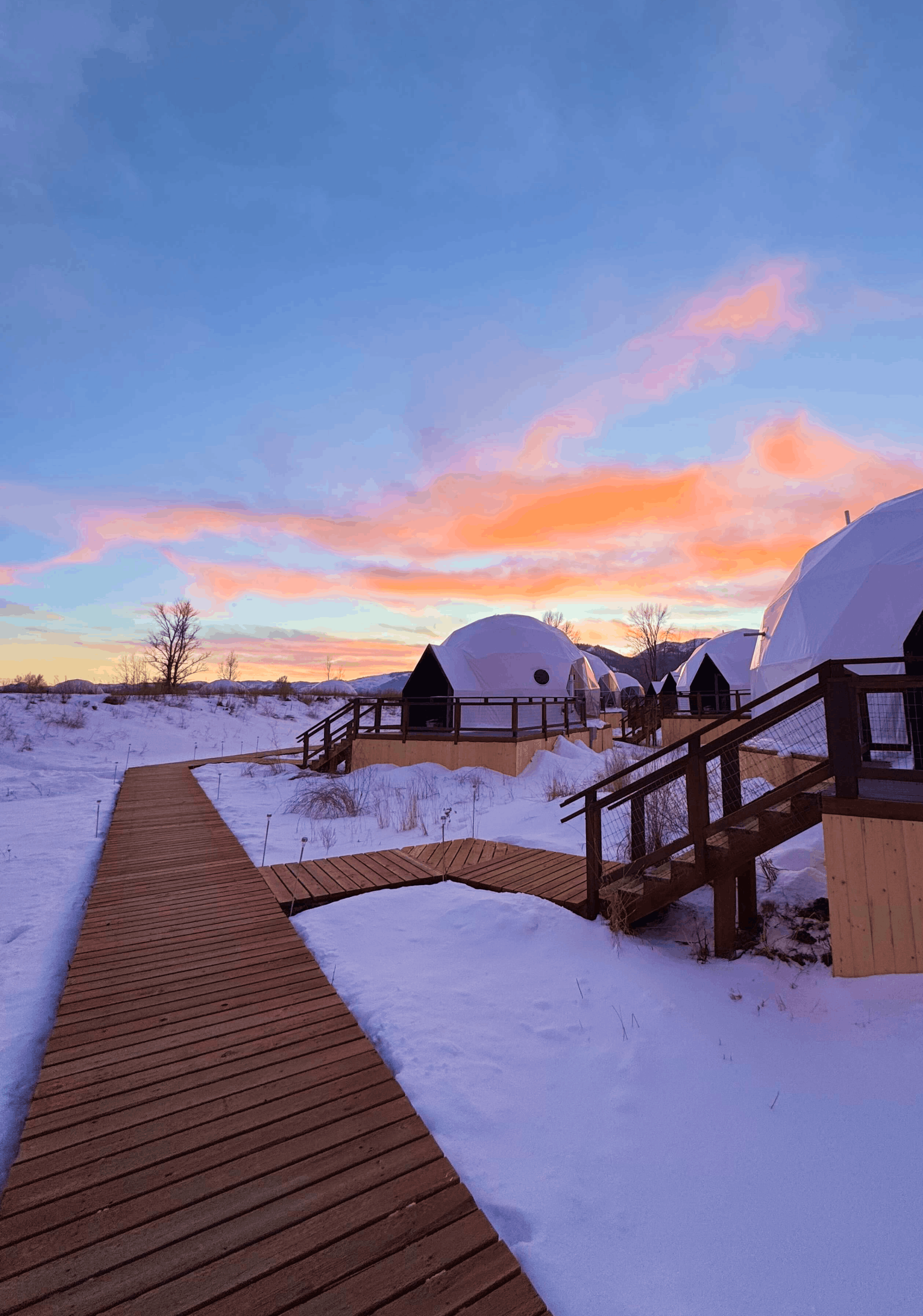 Bunk bed in geodesic dome