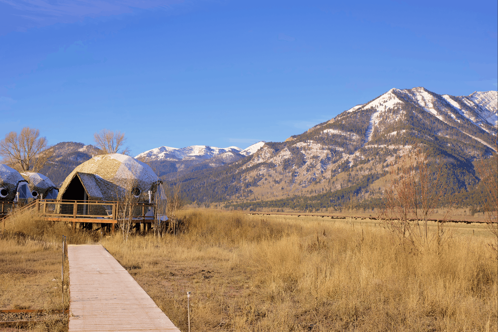 Kitchenette in geodesic dome