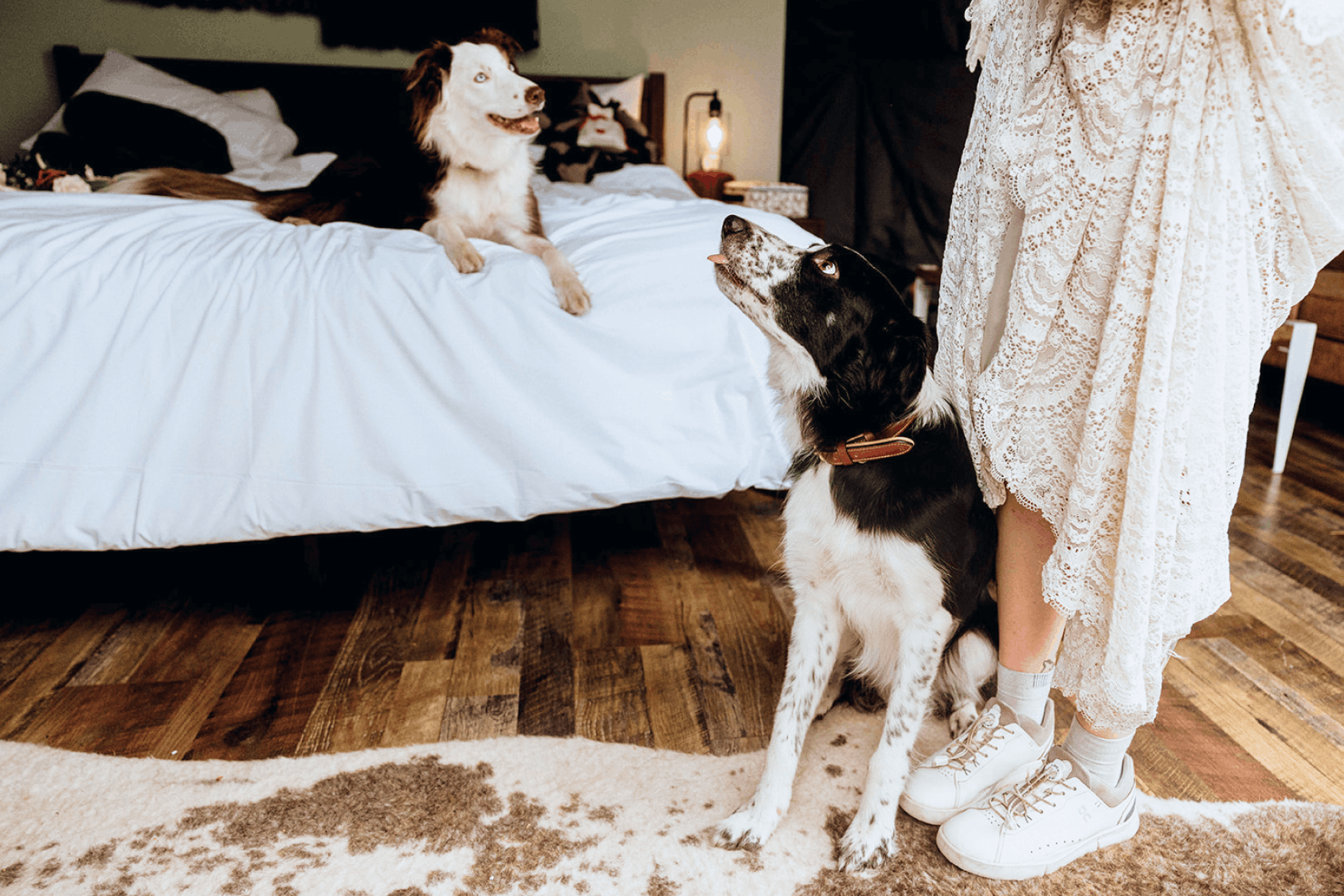 Summer view in family suite layout geodesic dome