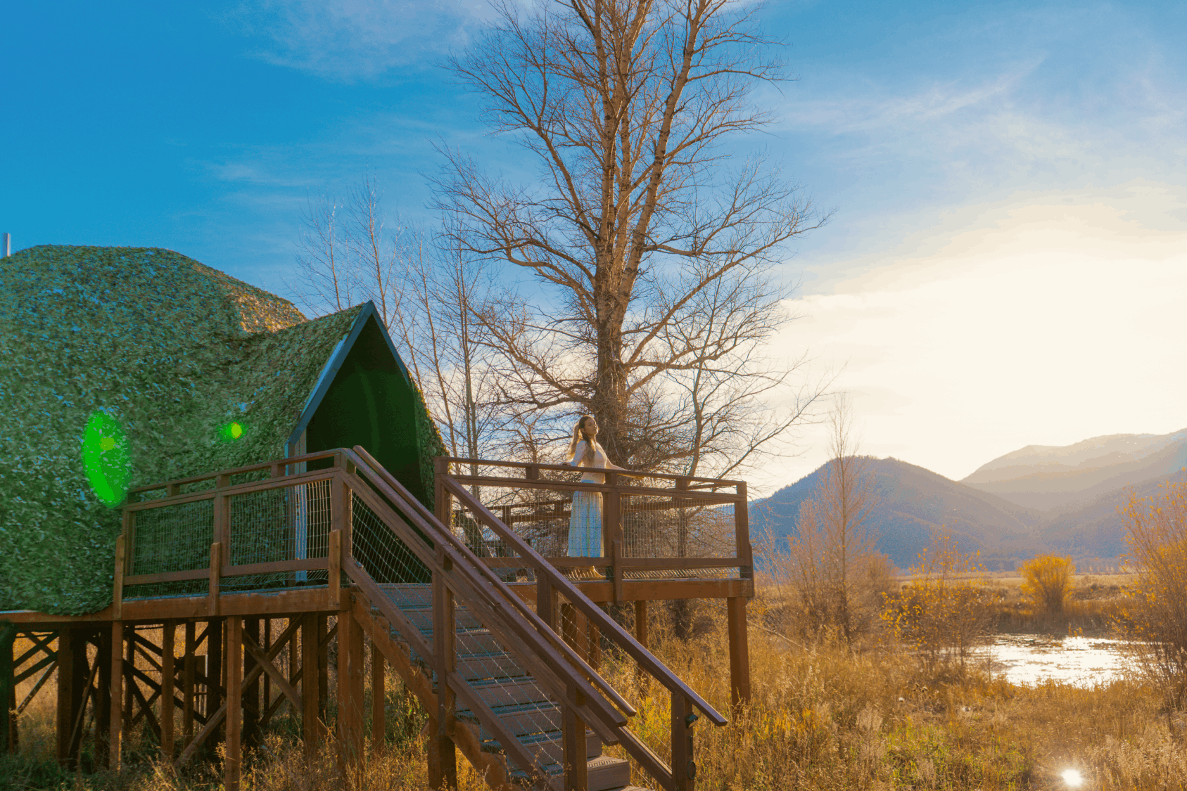 Summer view in family suite layout geodesic dome
