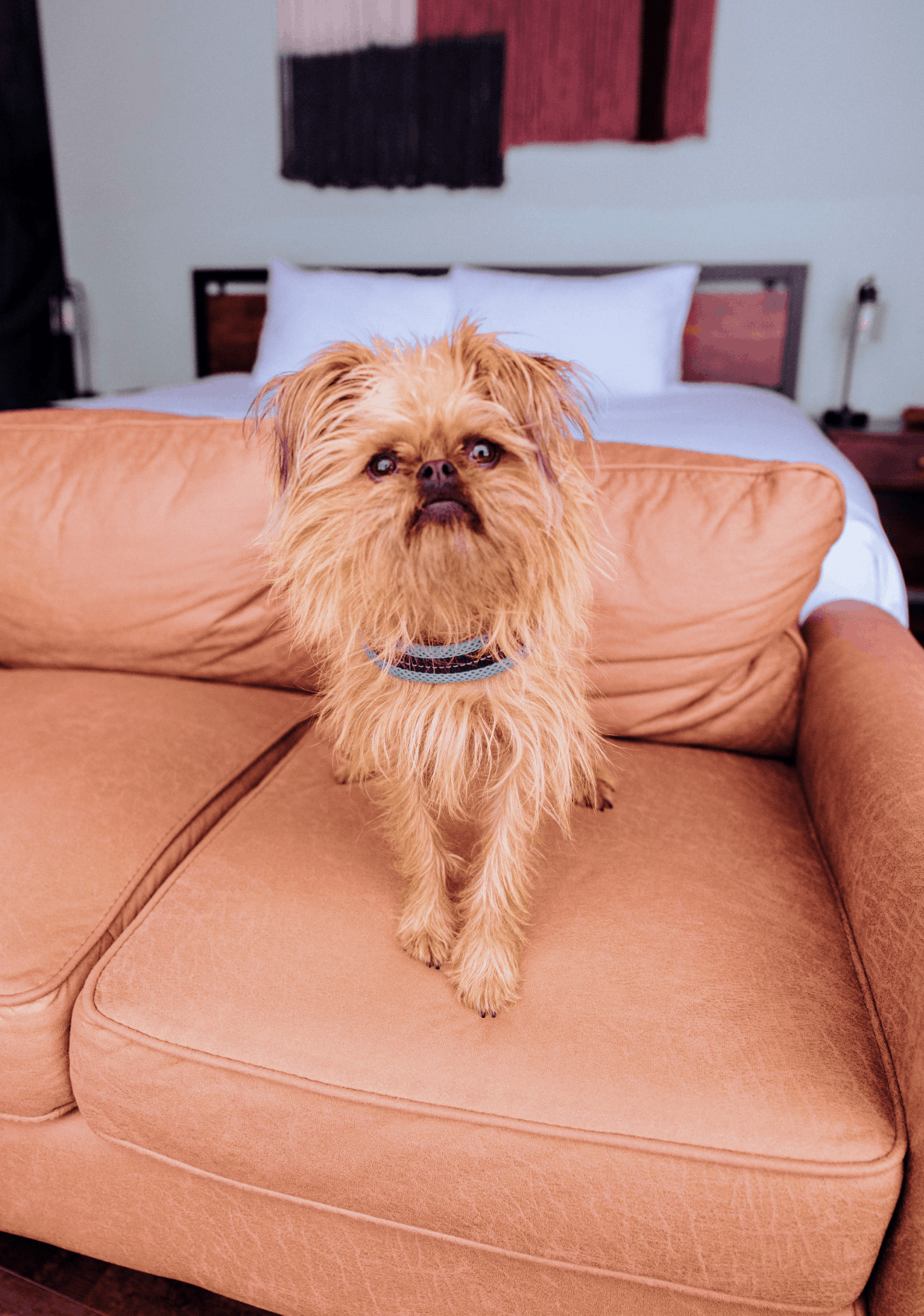 Father and son in the winter in jackson hole