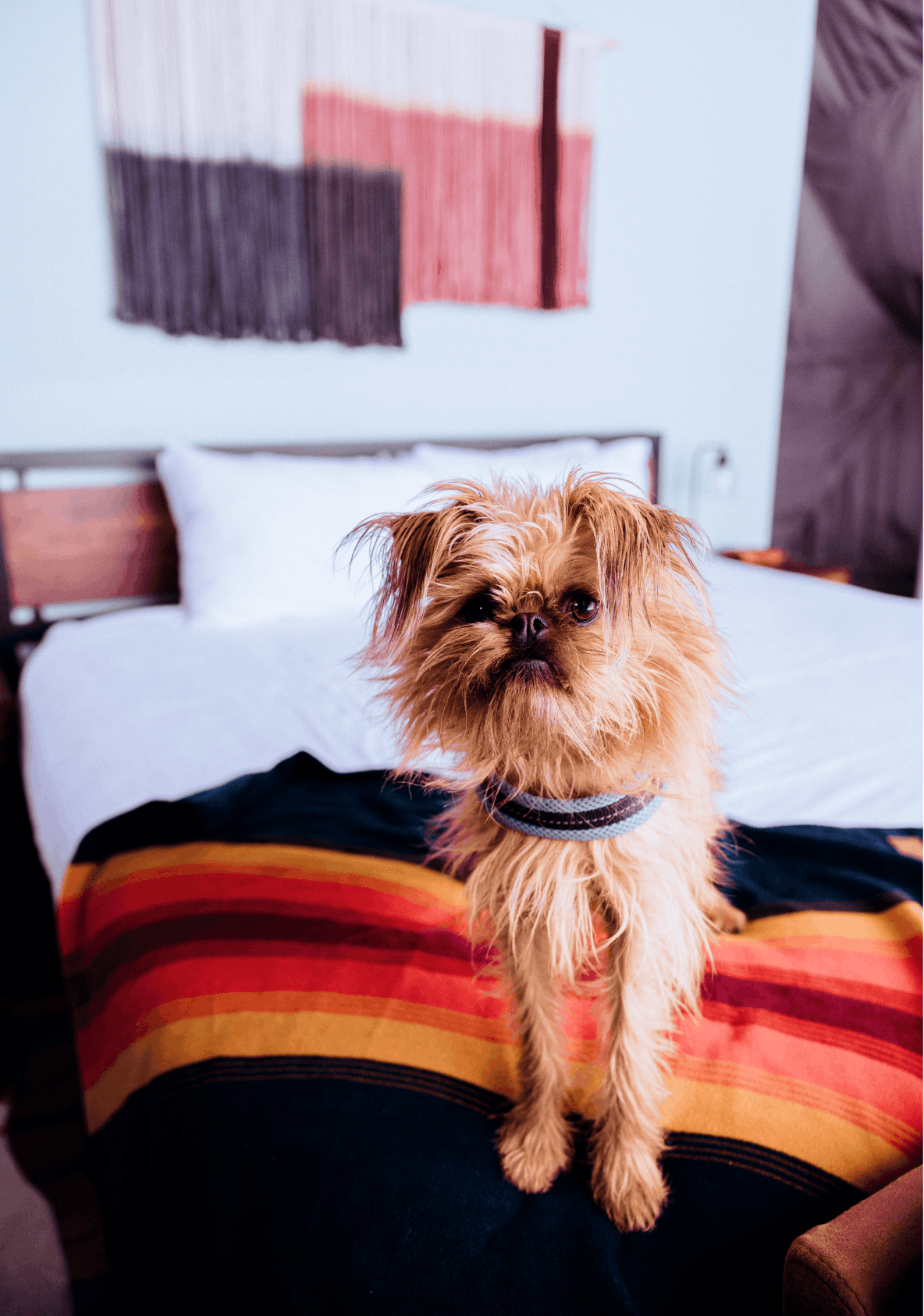 Shower in bathroom of geodesic dome