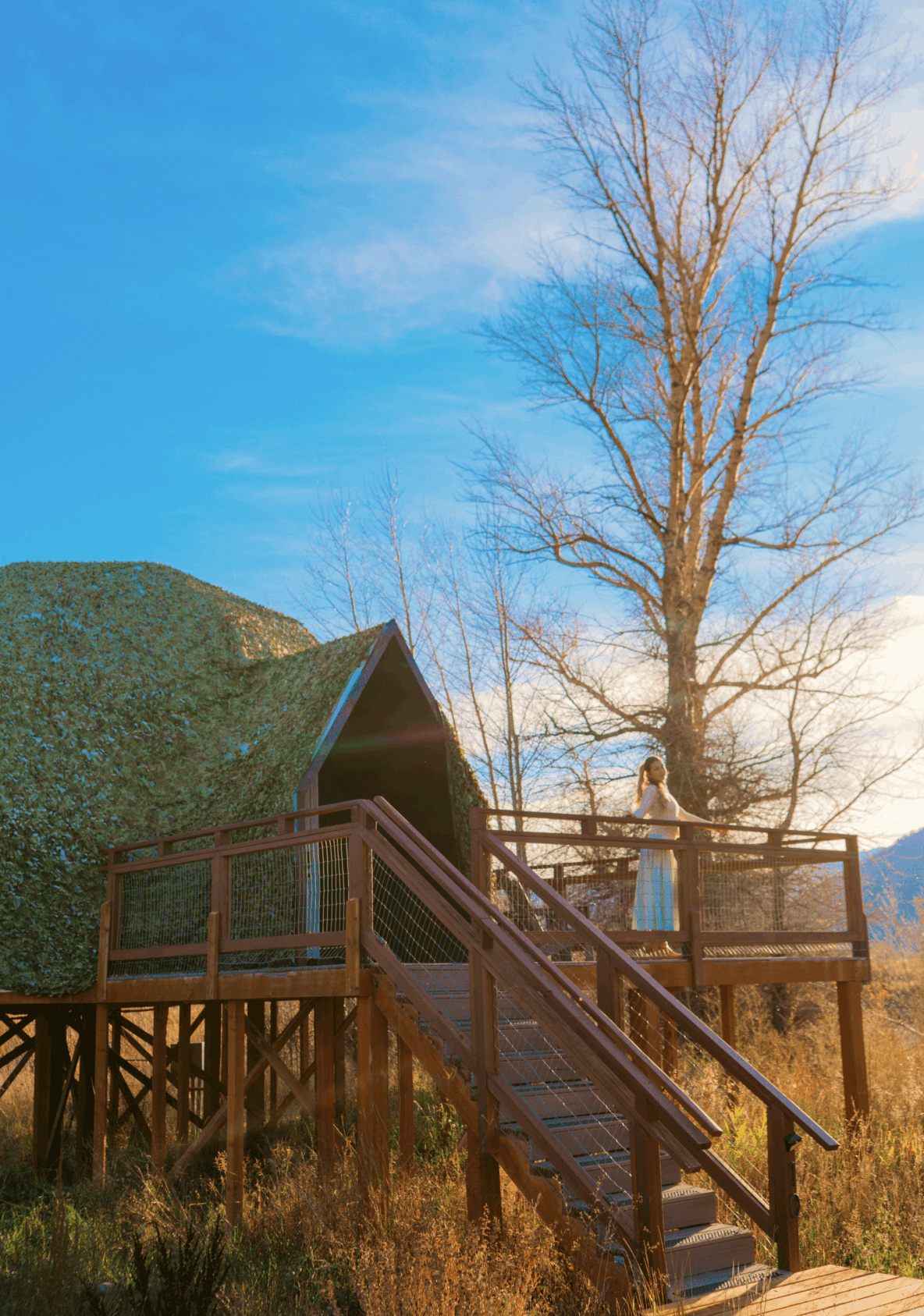 Bunk bed in geodesic dome