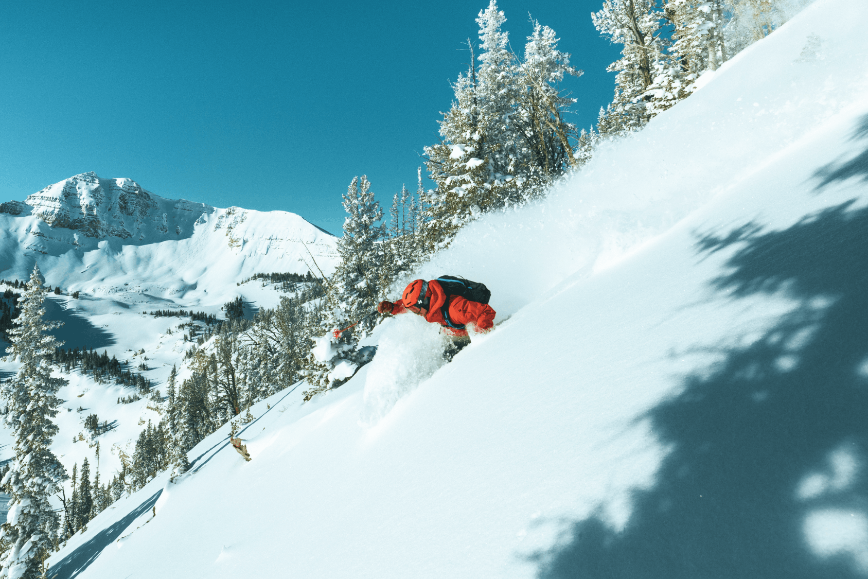 Extreme skiing action shot up close