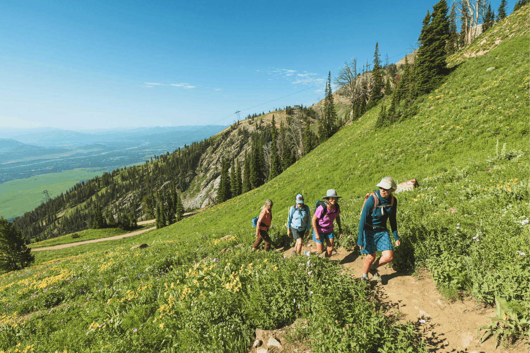 View of Teton Mountains in the spring with wild flowers