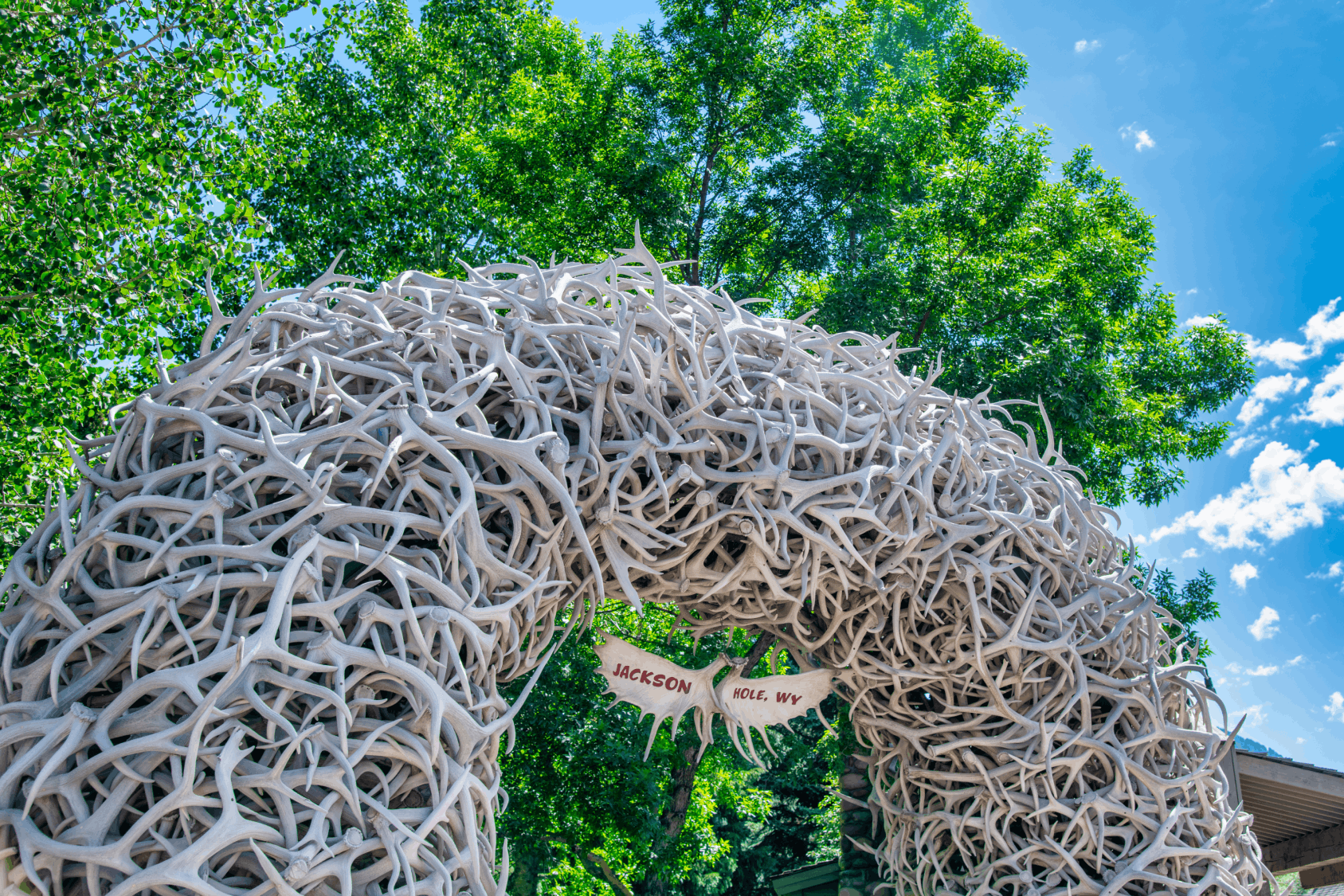 Stylish girl in front of Million Dollar Cowboy BarGroup of people hiking on a fall day