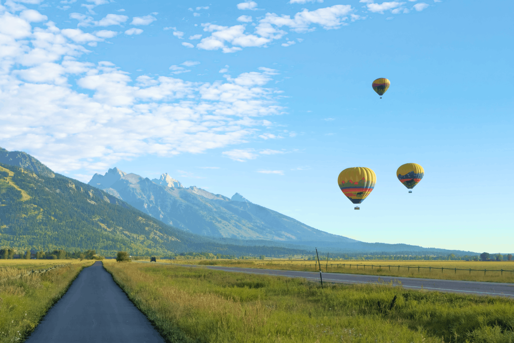 Bison in front of TA Moulton Barn in the Fall