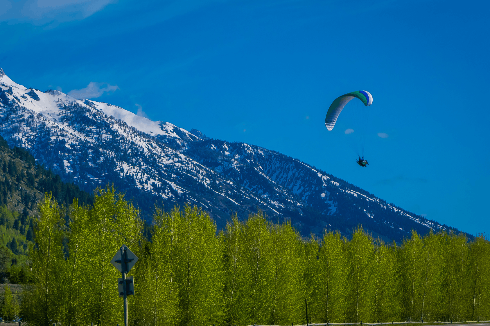 Bison in front of TA Moulton Barn in the Fall