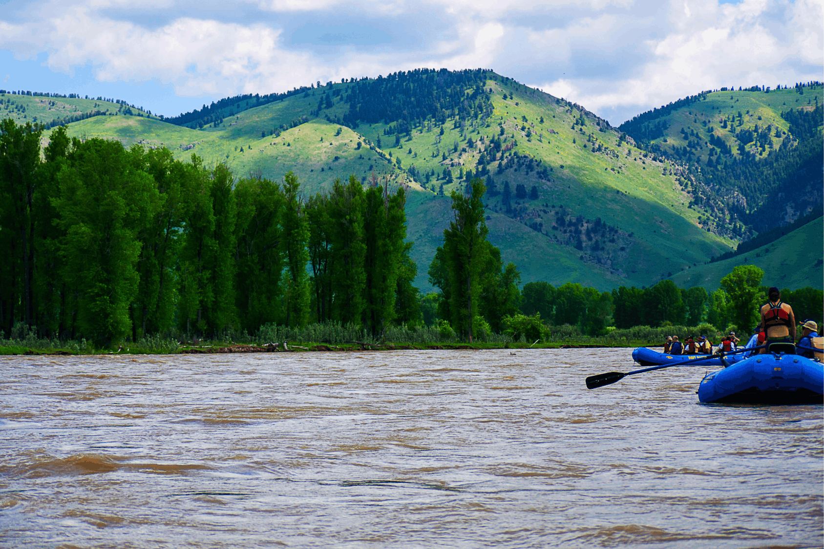 Bison in front of TA Moulton Barn in the Fall