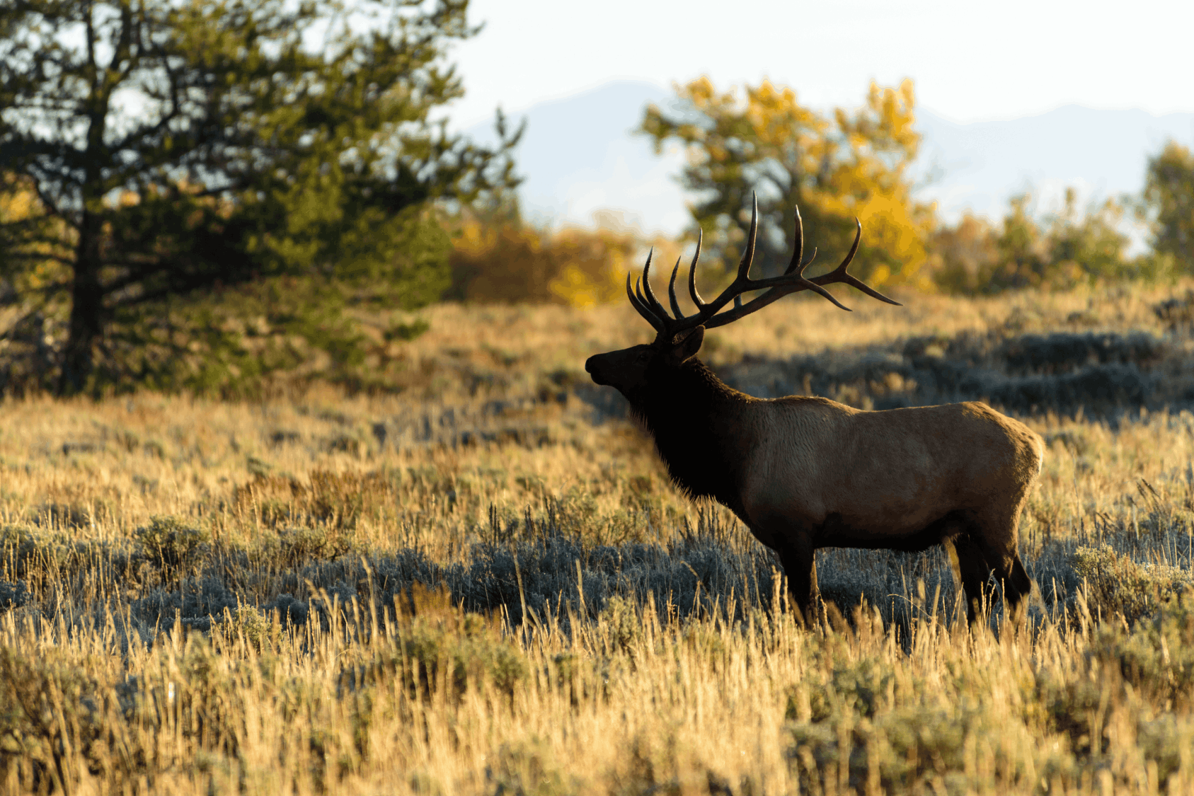 Stylish girl in front of Million Dollar Cowboy BarGroup of people hiking on a fall day