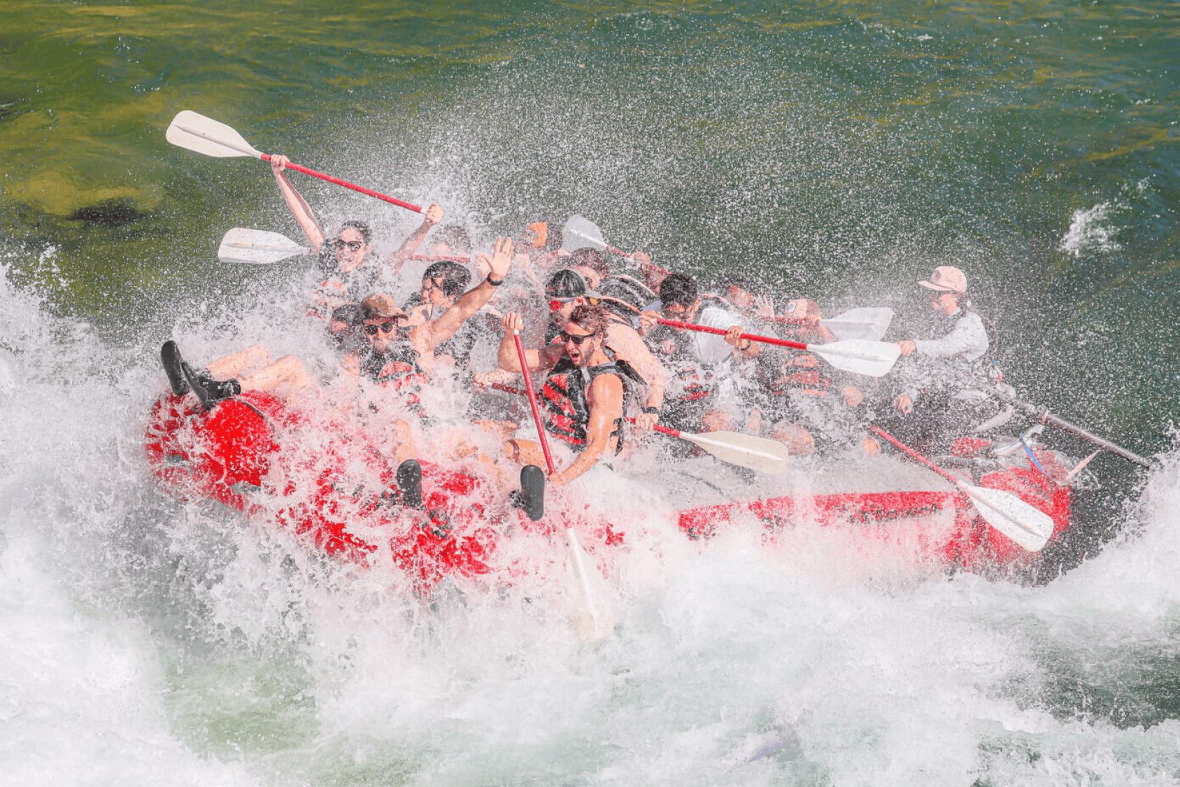 Bison in front of TA Moulton Barn in the Fall